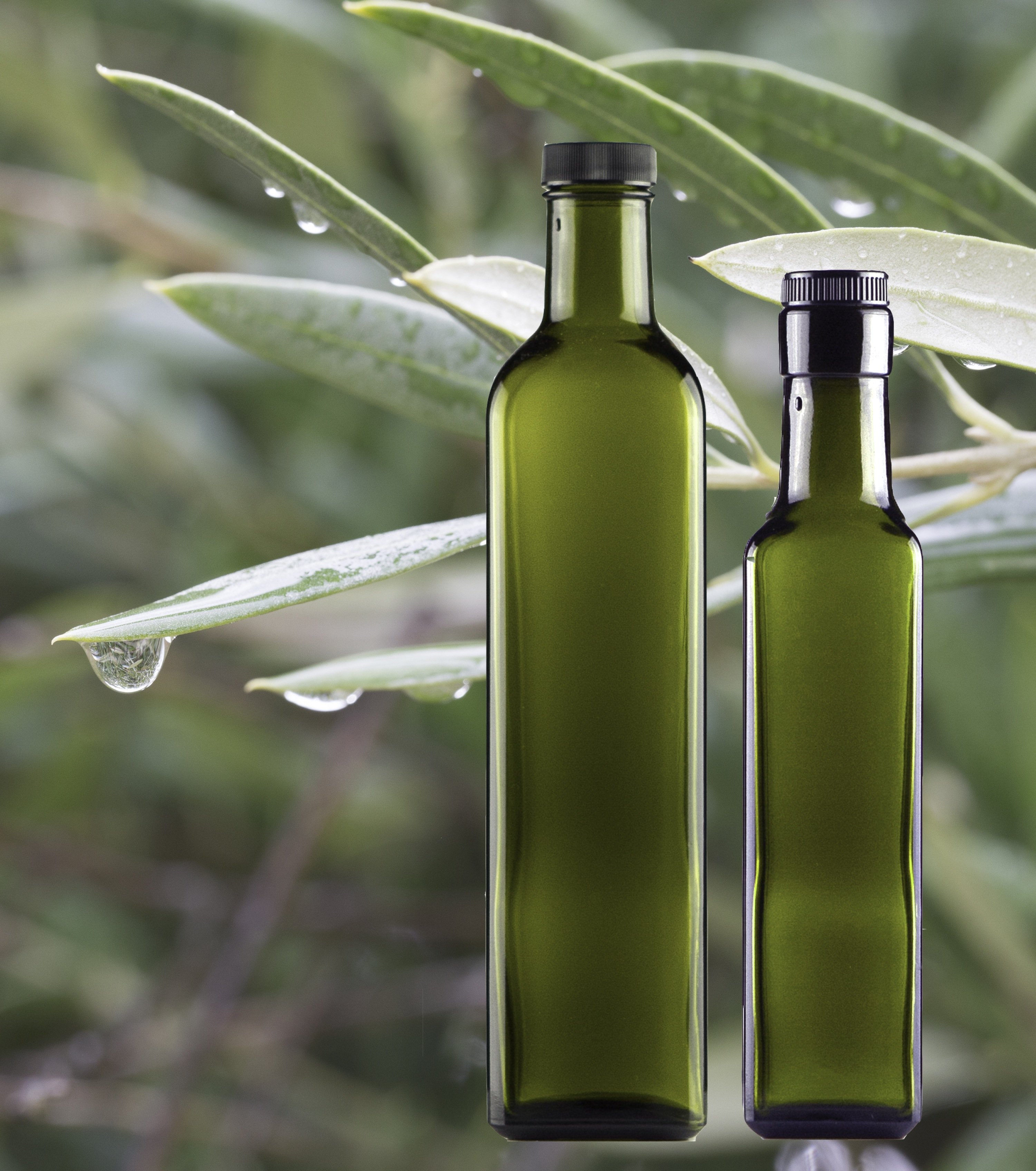 A bottle of olive oil. Оливковое масло. Бутылка оливкового масла. Оливковое масло в стеклянной бутылке. Бутылка олива.