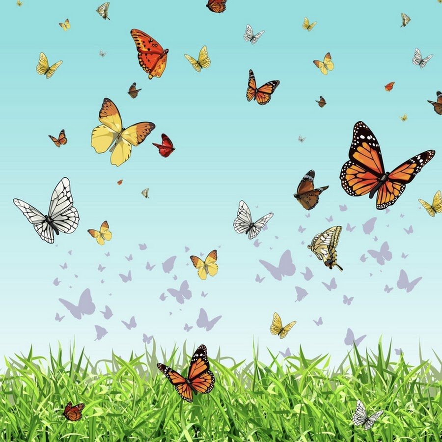 Луг летающих бабочек