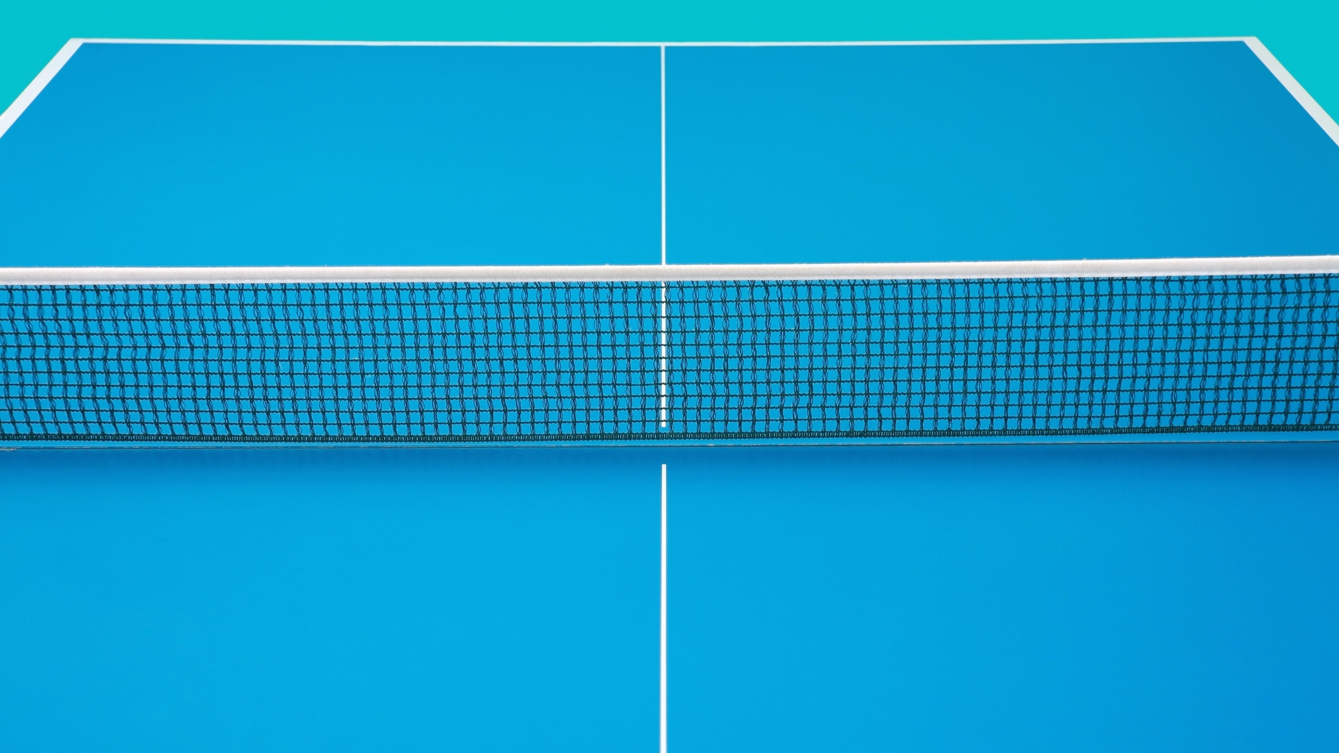 Теннис сетка игры. Теннисный стол вид сверху. Сетка теннис стол. Пинг понг сетка. Сетка для теннисного стола.