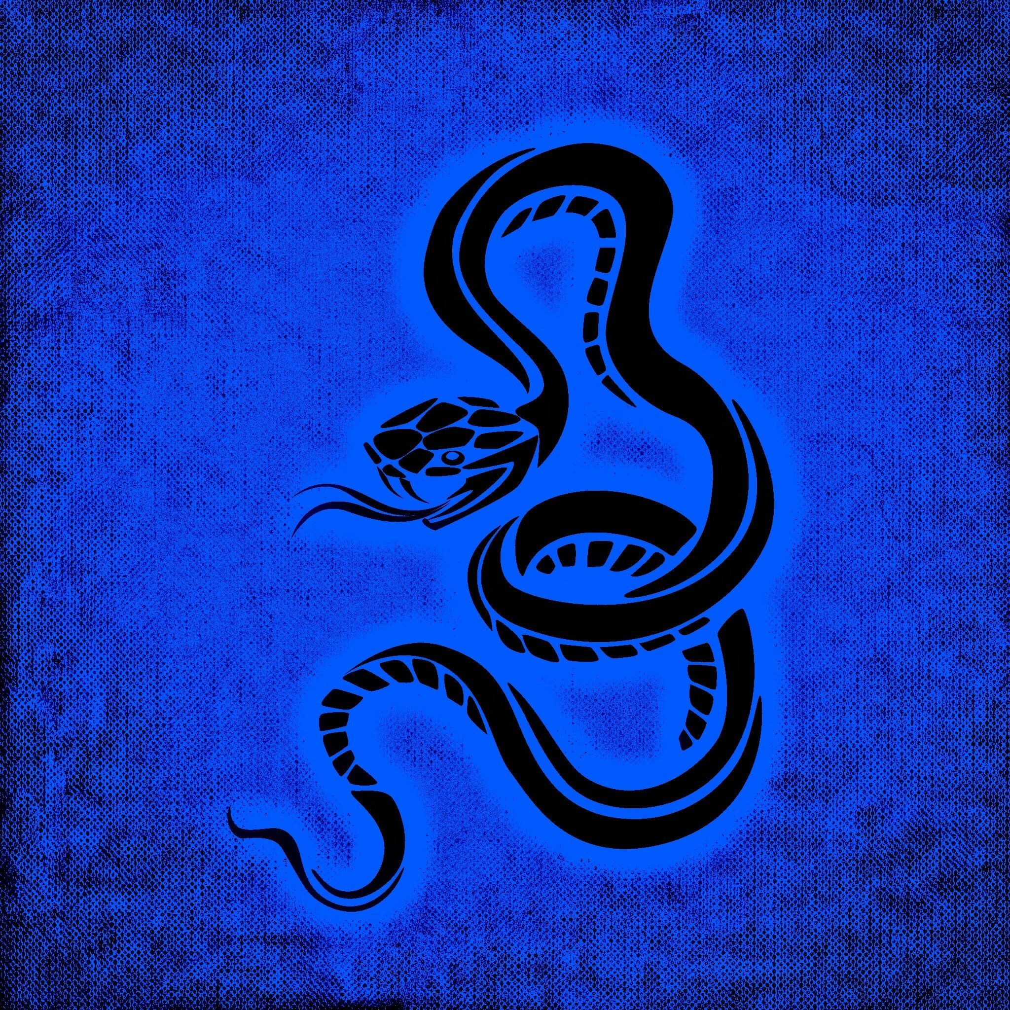 Аватарка змей. Синяя змея. Неоновые змеи. Змея на черном фоне. Змея рисунок.