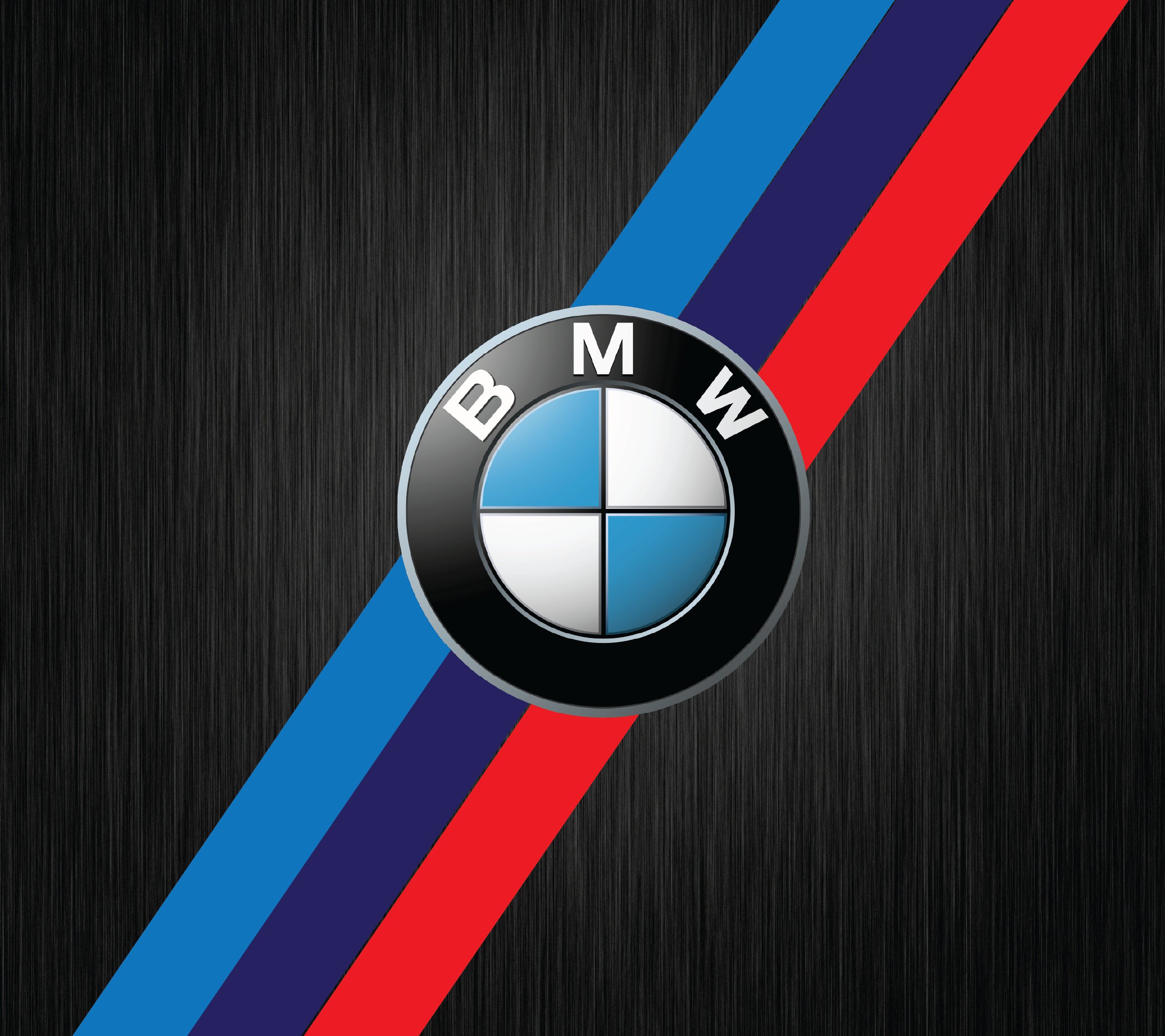 Лого БМВ карбон