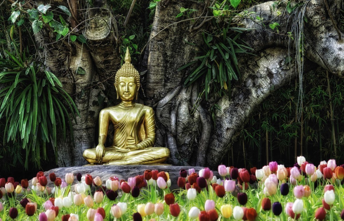 Цветок Будды