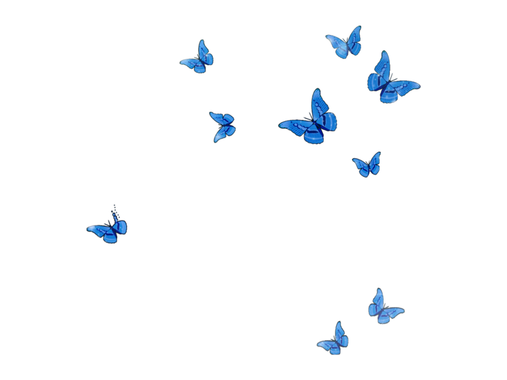 Фон бабочки png. Много бабочек. Стая бабочек на прозрачном фоне. Стайка бабочек на прозрачном фоне. Маленькие бабочки на прозрачном фоне.