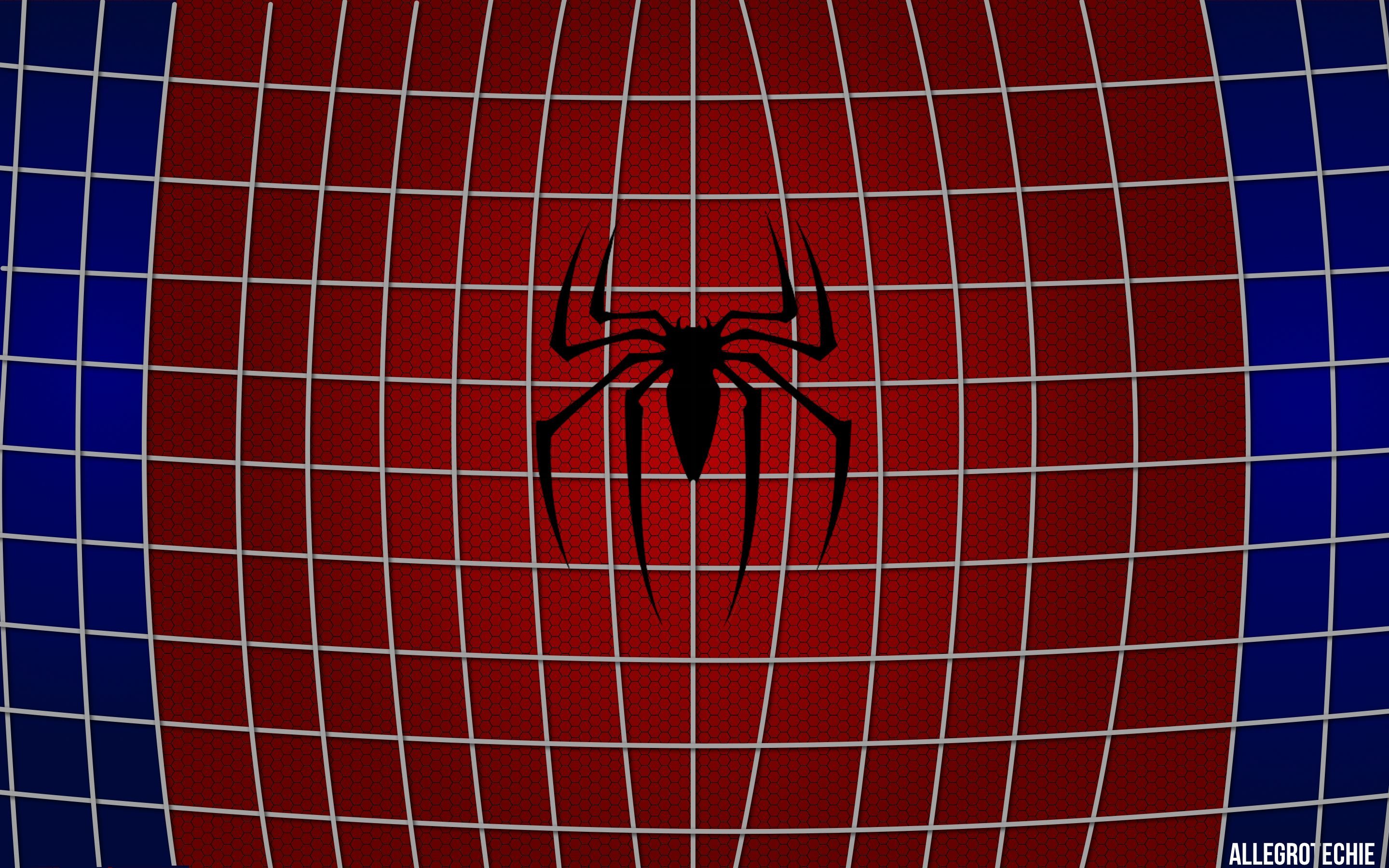 Сетка человека паука