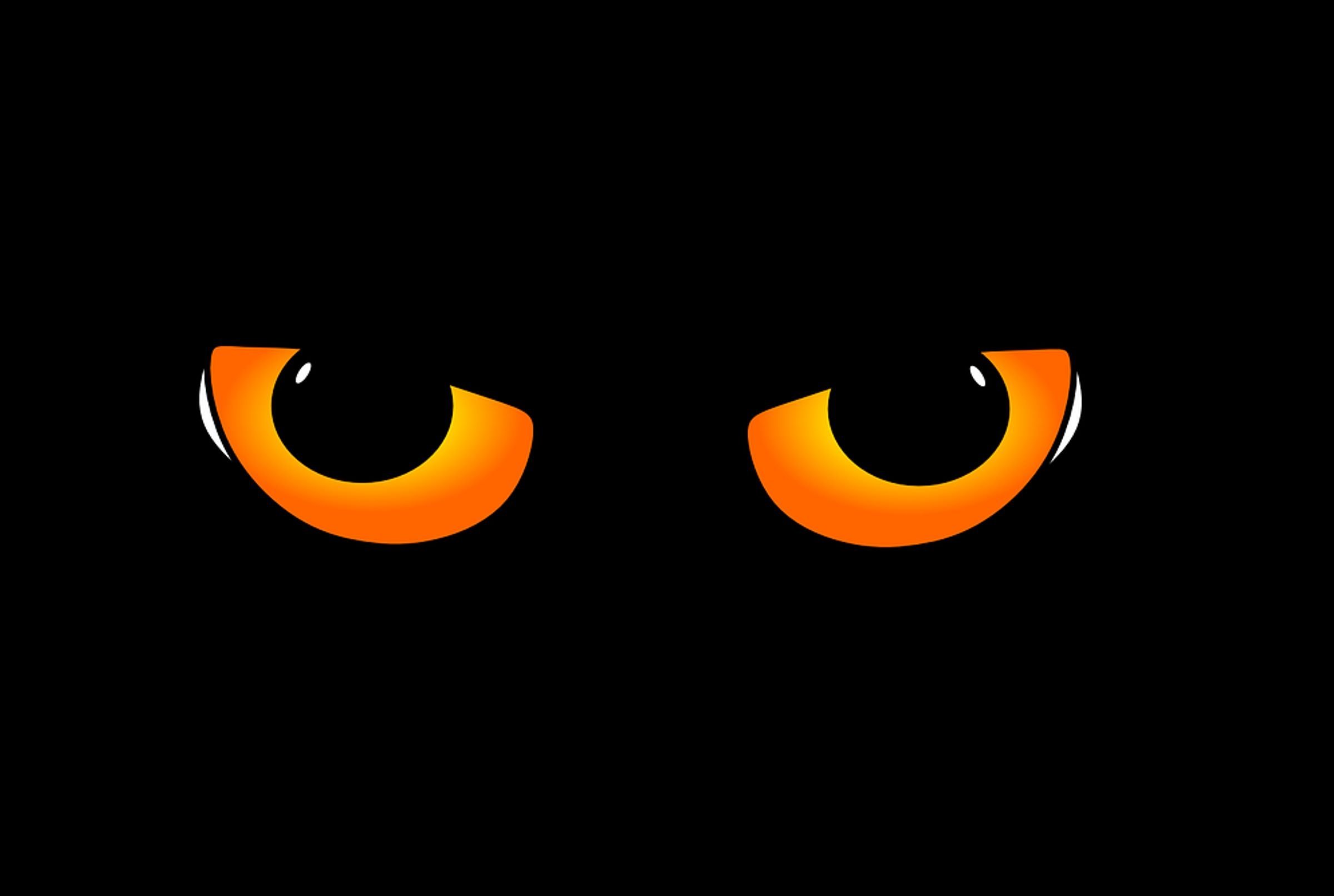 Глаза кота в темноте