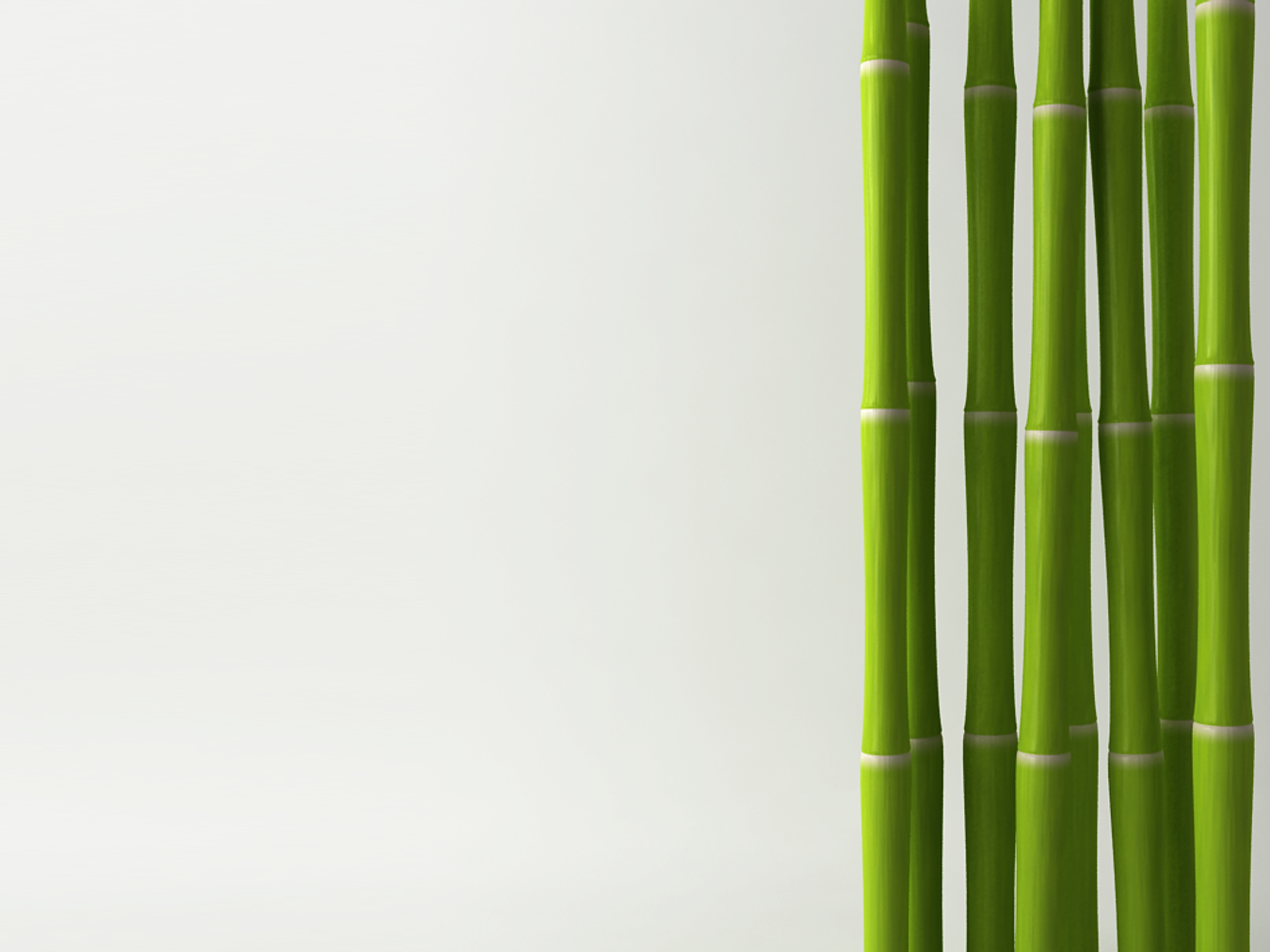 Бамбук Широшима. Бамбук по7бм024. Бамбук на белом фоне. Бамбуковые стебли.
