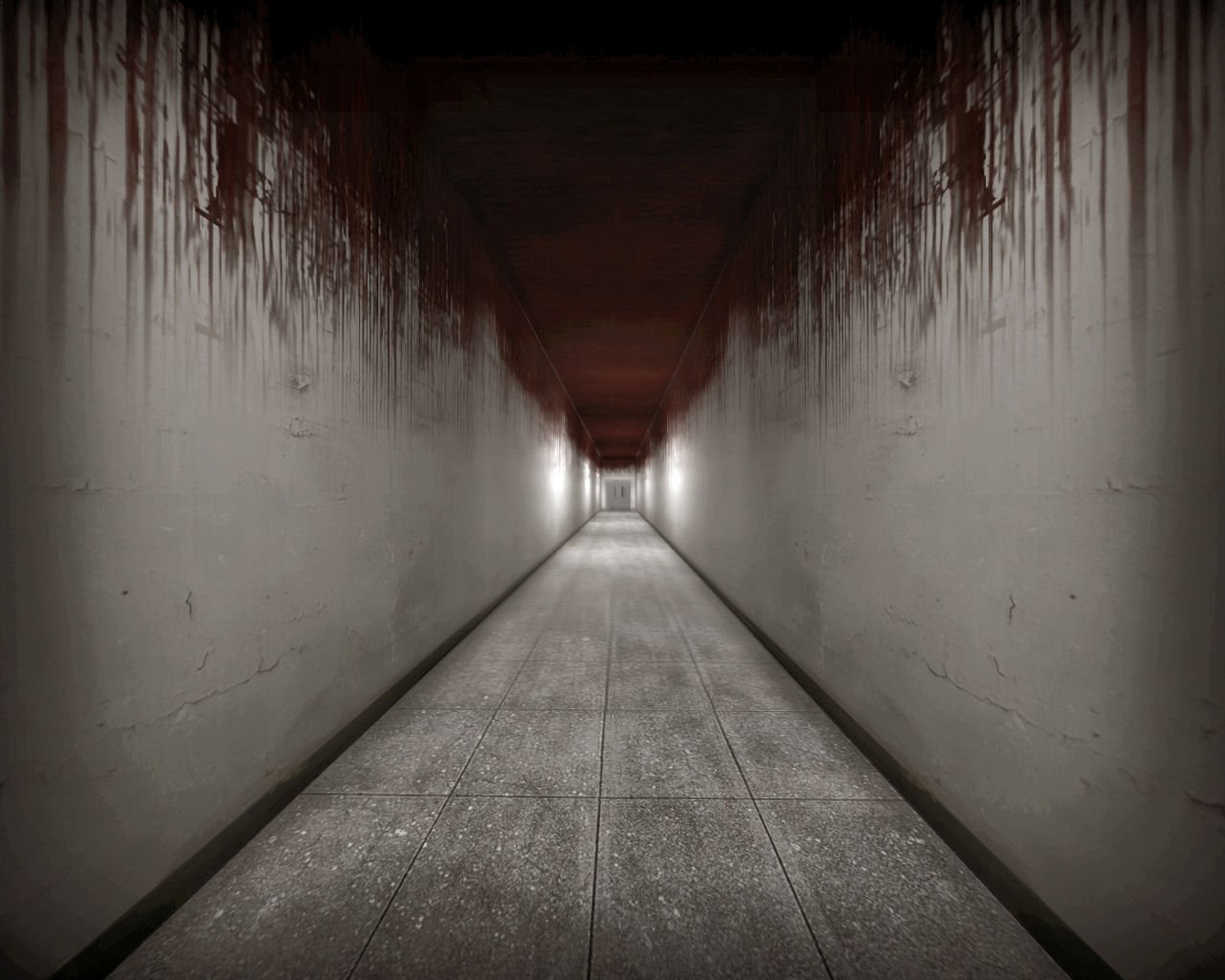Перед нами жуткая безгласная пустота. Страшный коридор. Длинный страшный коридор. Мрачный коридор.