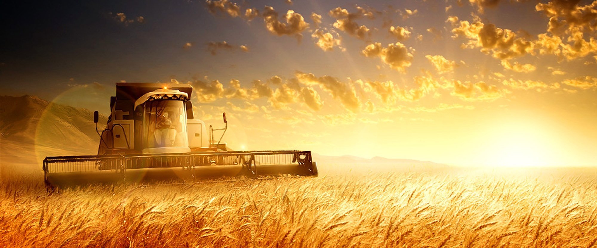 Слово сх. Комбайн в поле на закате. Комбайн в поле колосья. Сельское хозяйство комбайн. Поле пшеницы и трактор.
