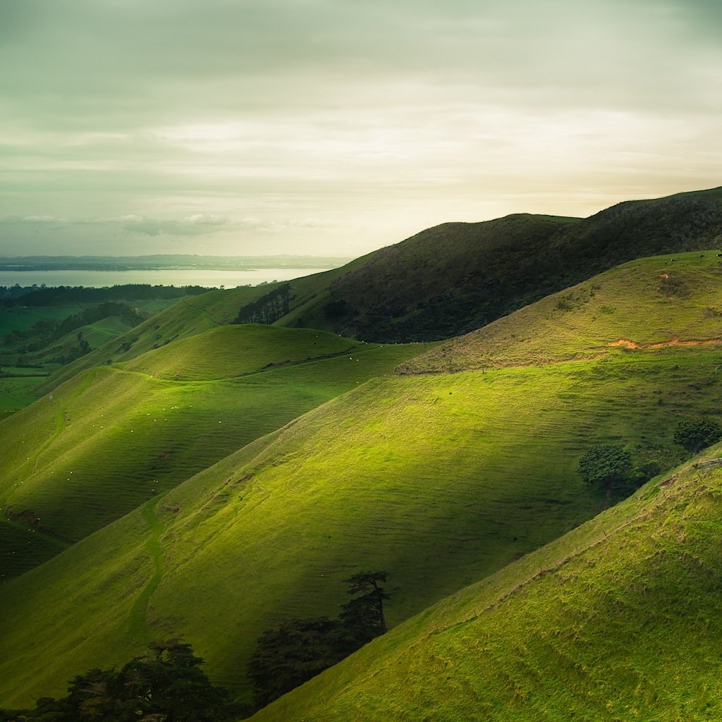 Новая Зеландия зеленые холмы