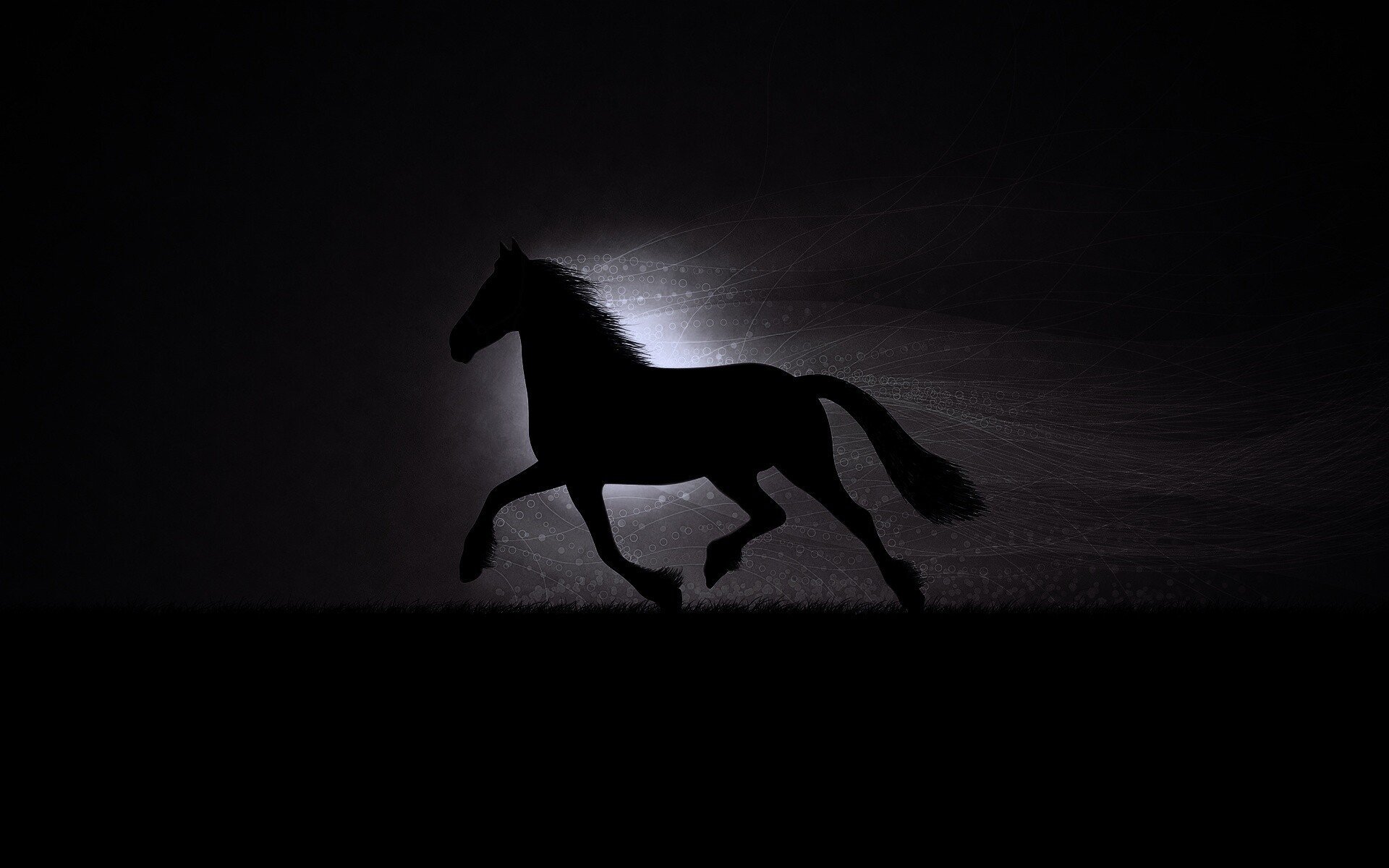 Конь на черном фоне