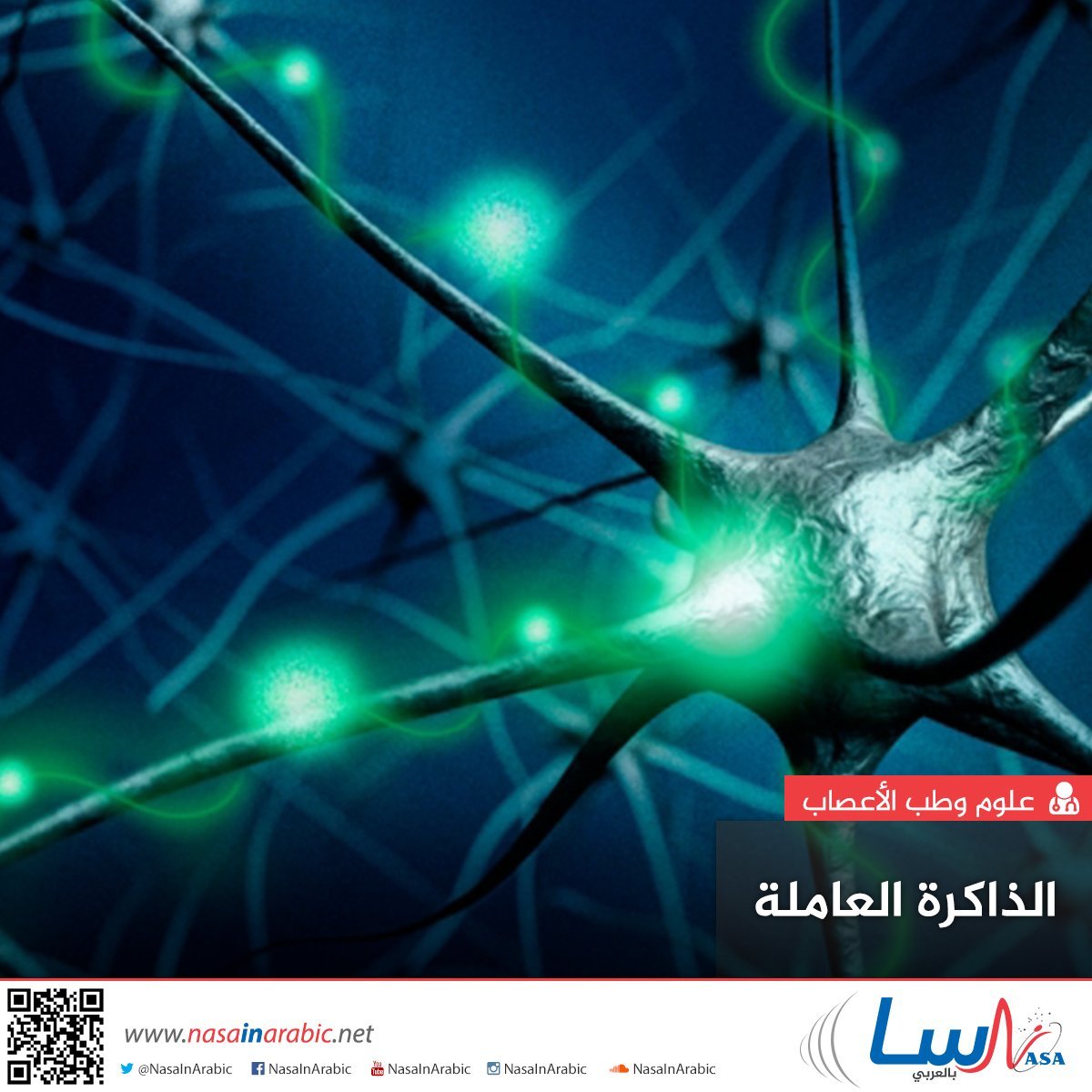 Нейросеть для визиток. Нейроны. Нейронные связи. Нейроны головного мозга. Нейронные связи головного мозга.