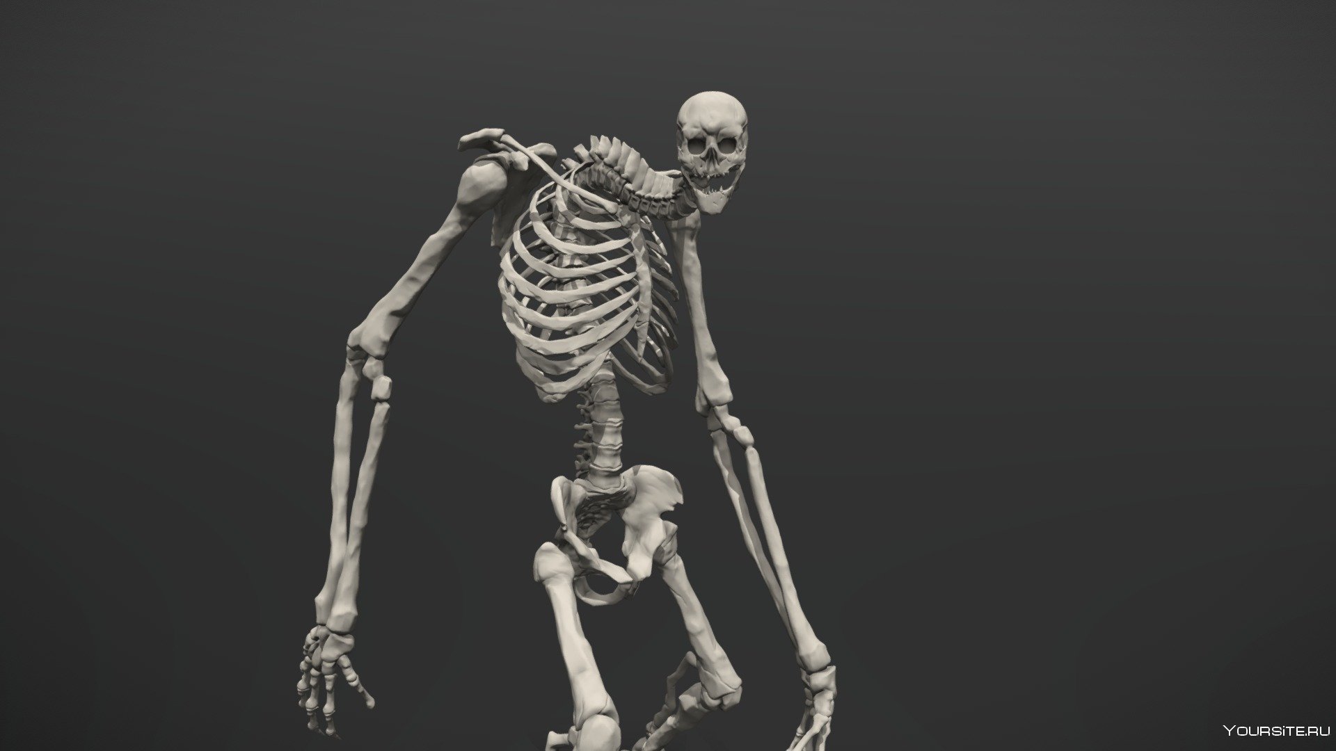 Люди скелеты живые. Скелет гигачад.