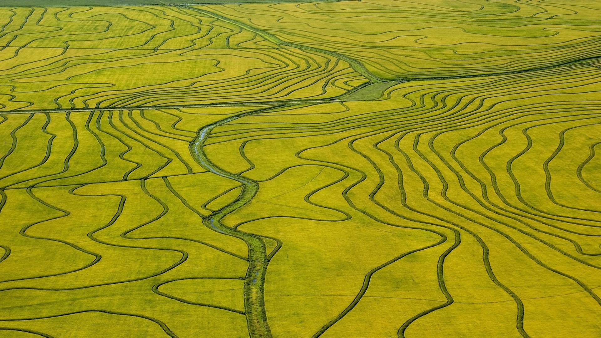 Дельта Иравади рисовые поля