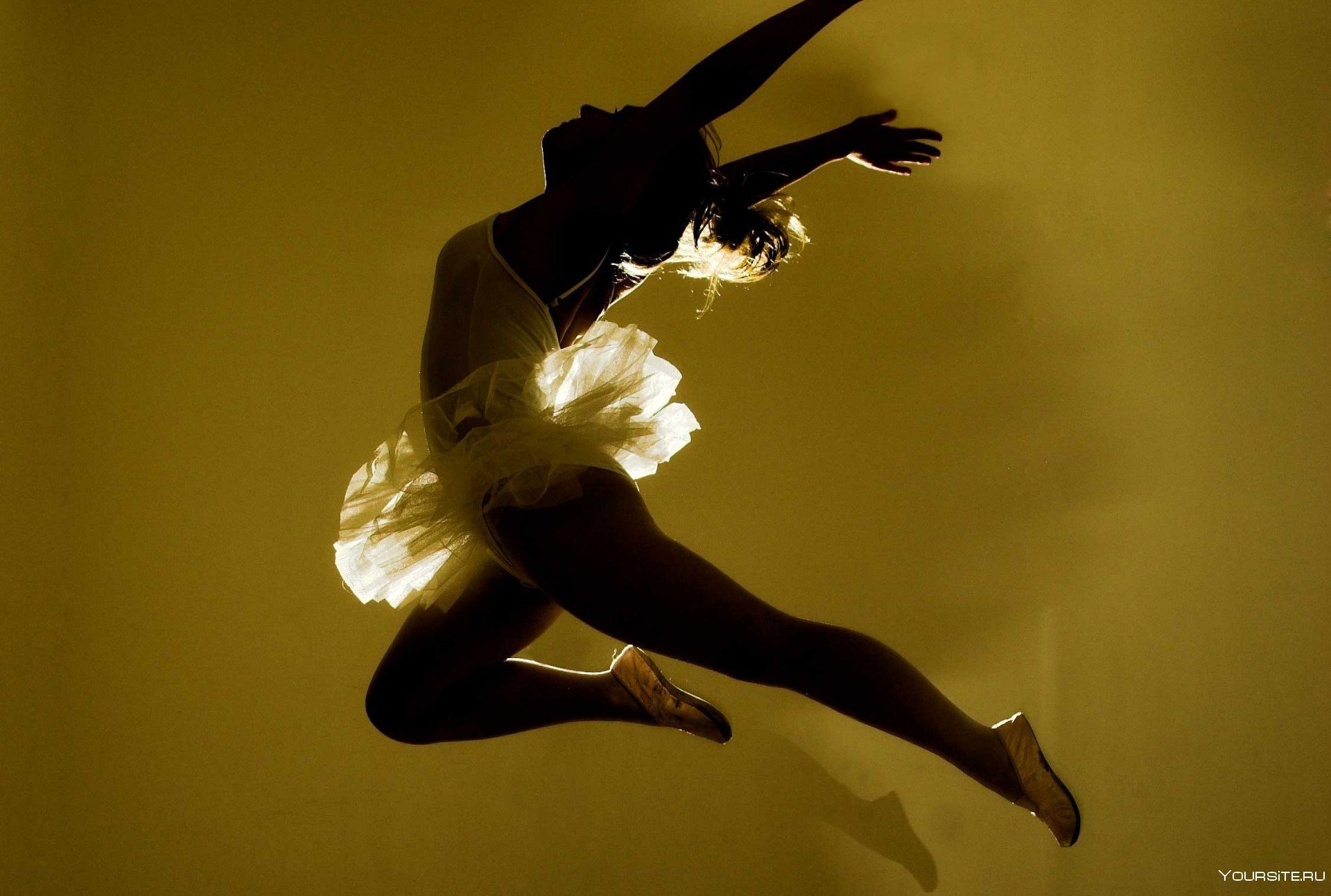 Картина на холсте Прыжок балерины