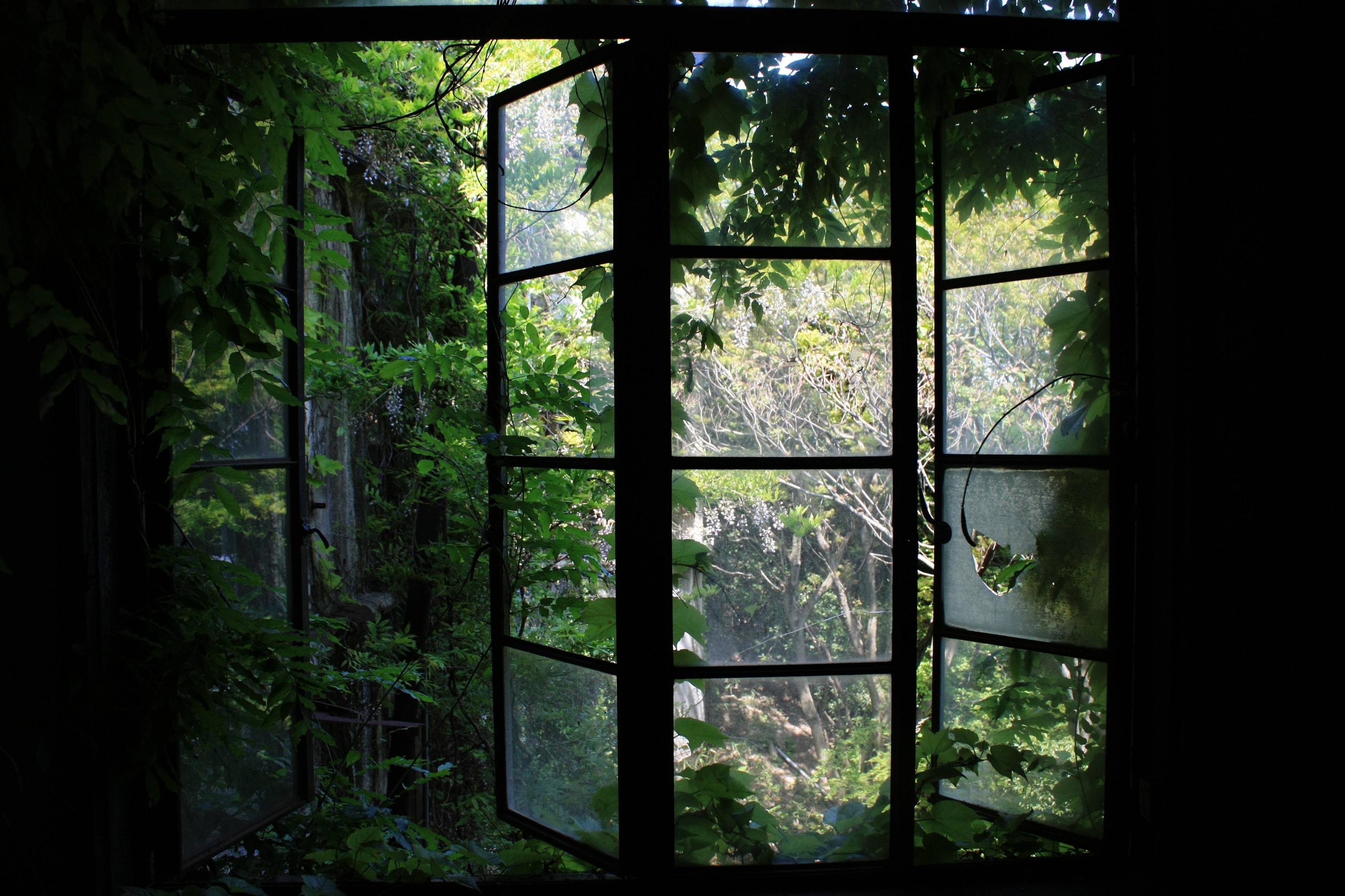 Обои на телефон окно. Панорамные окна на лес. Окно в лес. Вид из окна. Окно в природу.