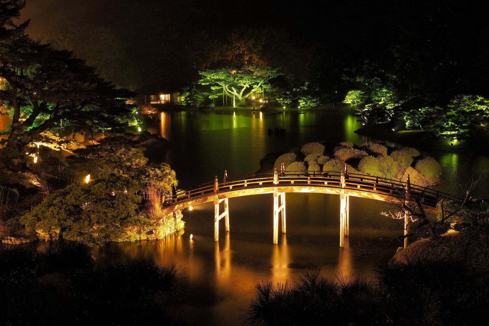 Ночная Япония сад