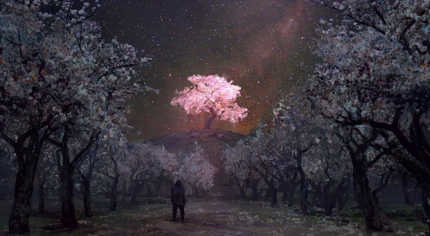 Цветущее дерево ночью