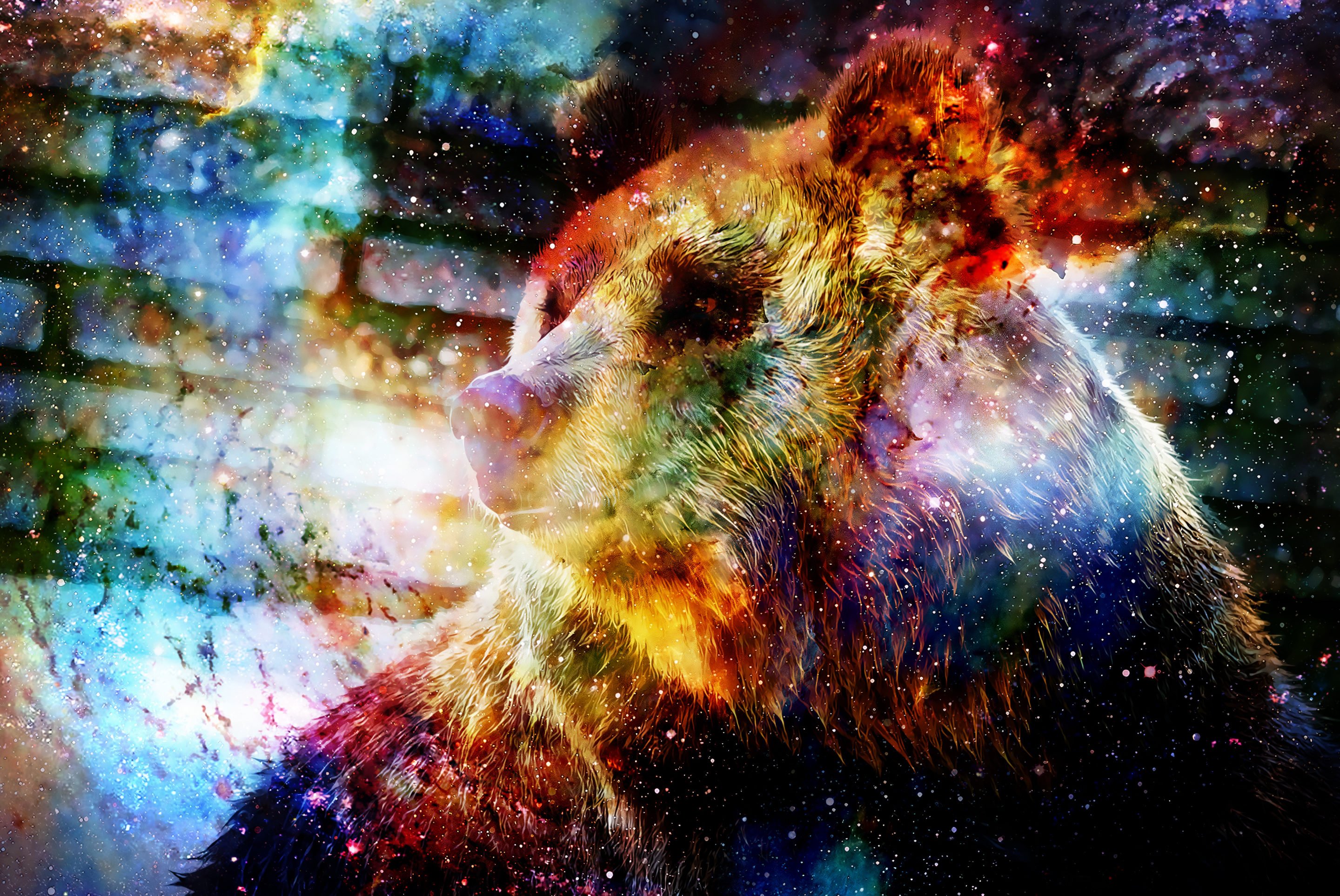 Графический дизайн медведь в космосе