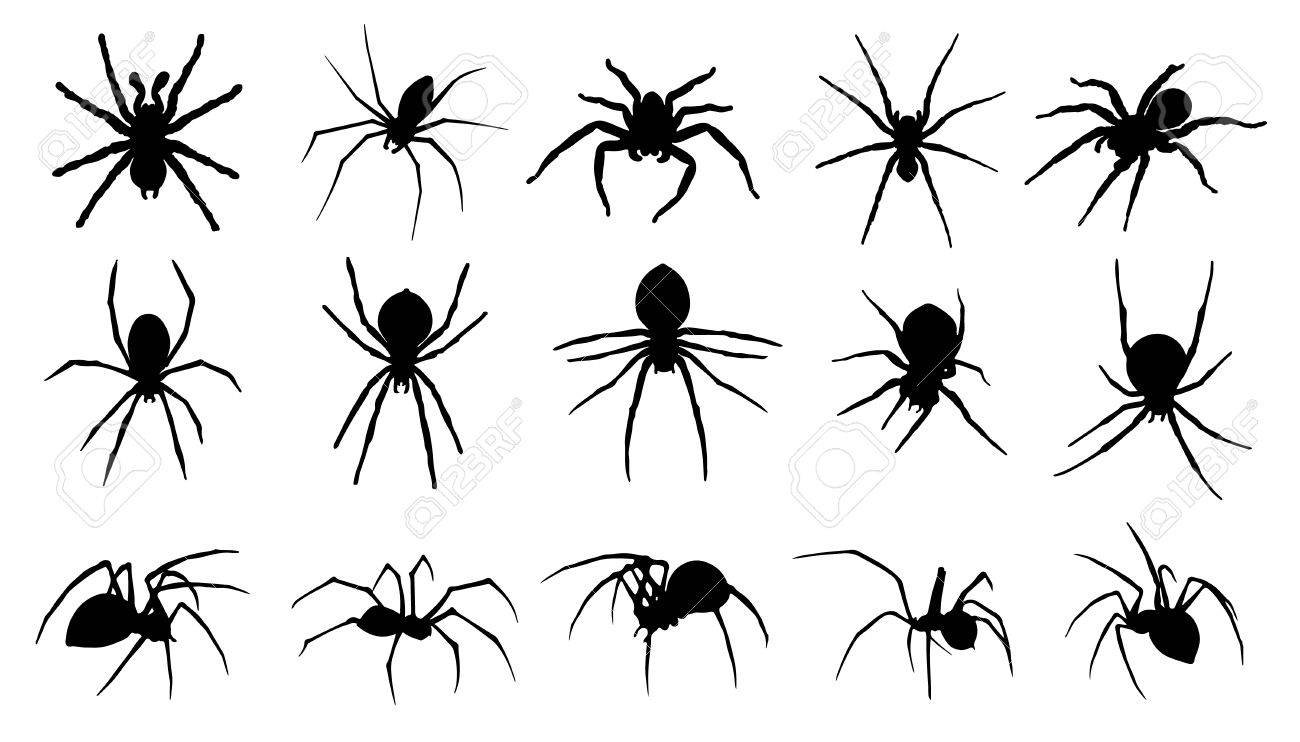 Маленькие черные пауки на белом фоне