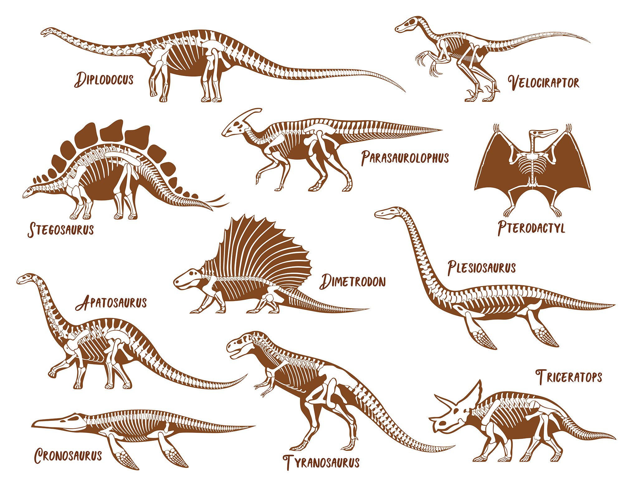 График динозавров