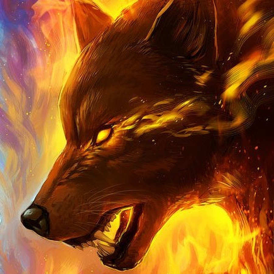 Книга огненный волк. Аватарка Токийский волк.