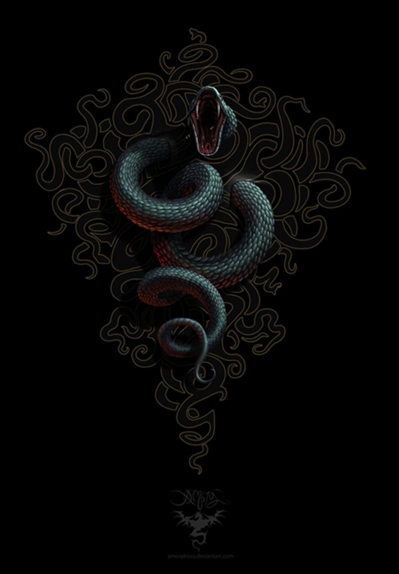 Красивые змеи на заставку