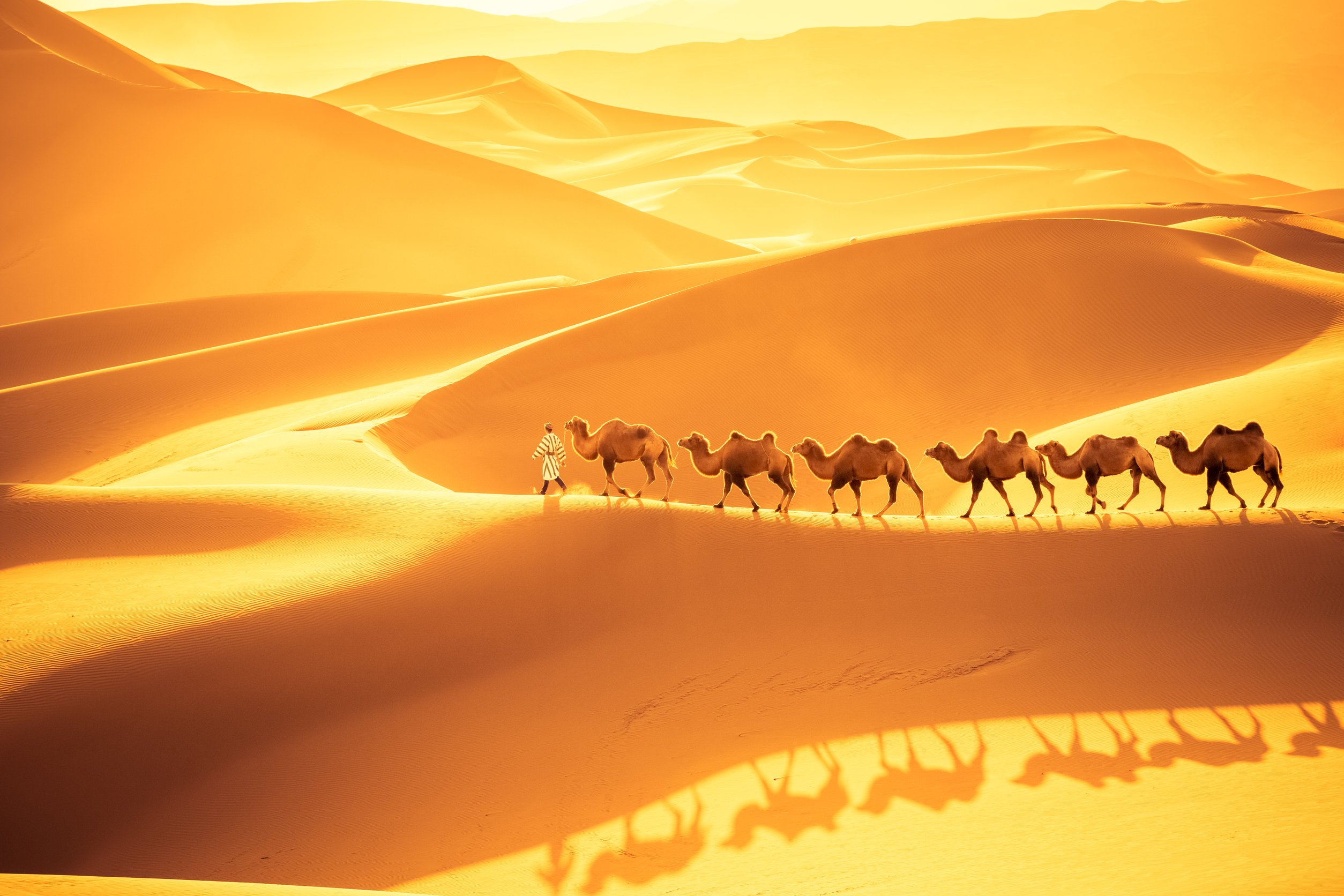 Солнце в пустыни и Караван