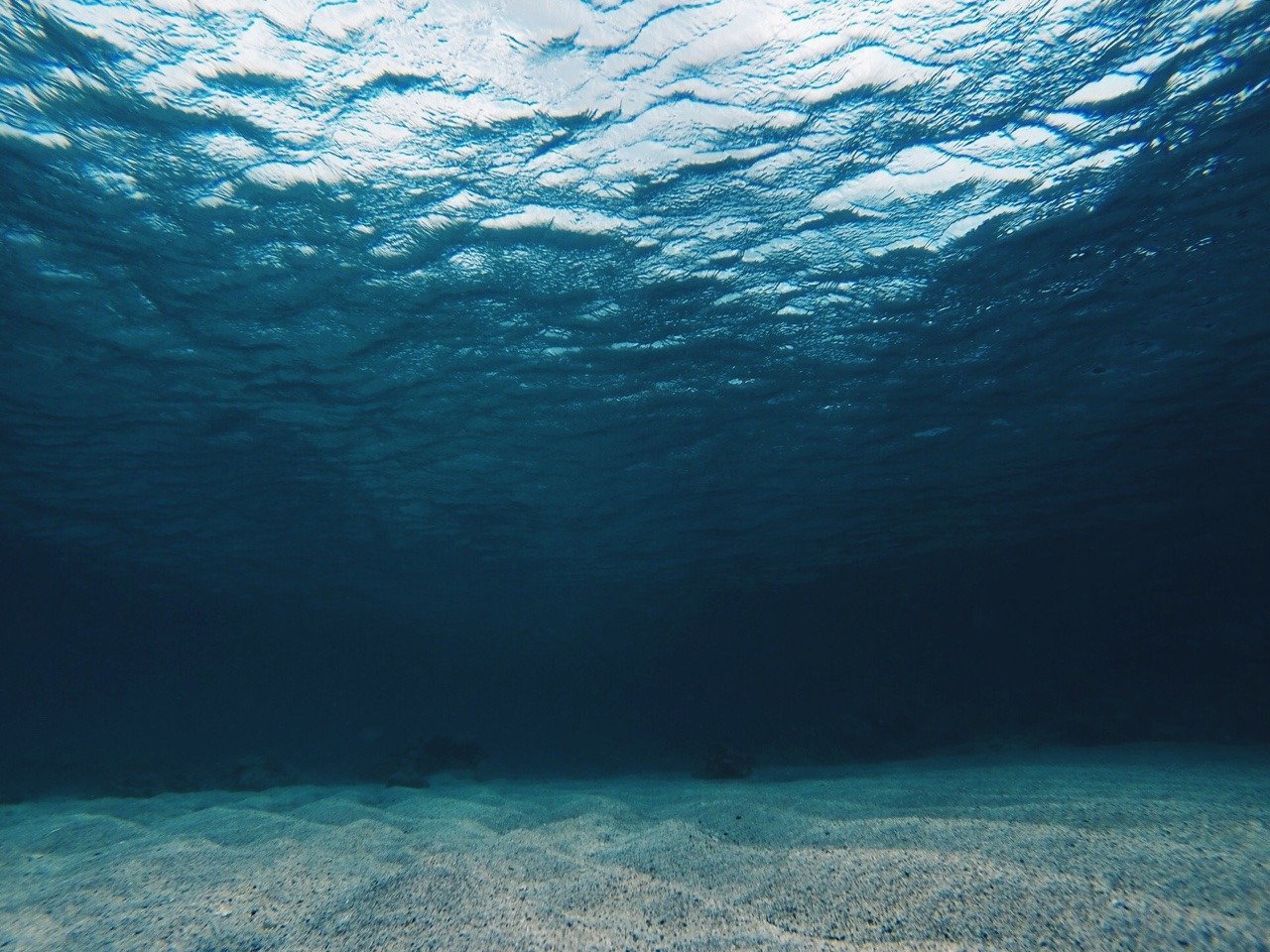 Толща воды океана. Дно океана. Морское дно. Дно моря. Под водой.