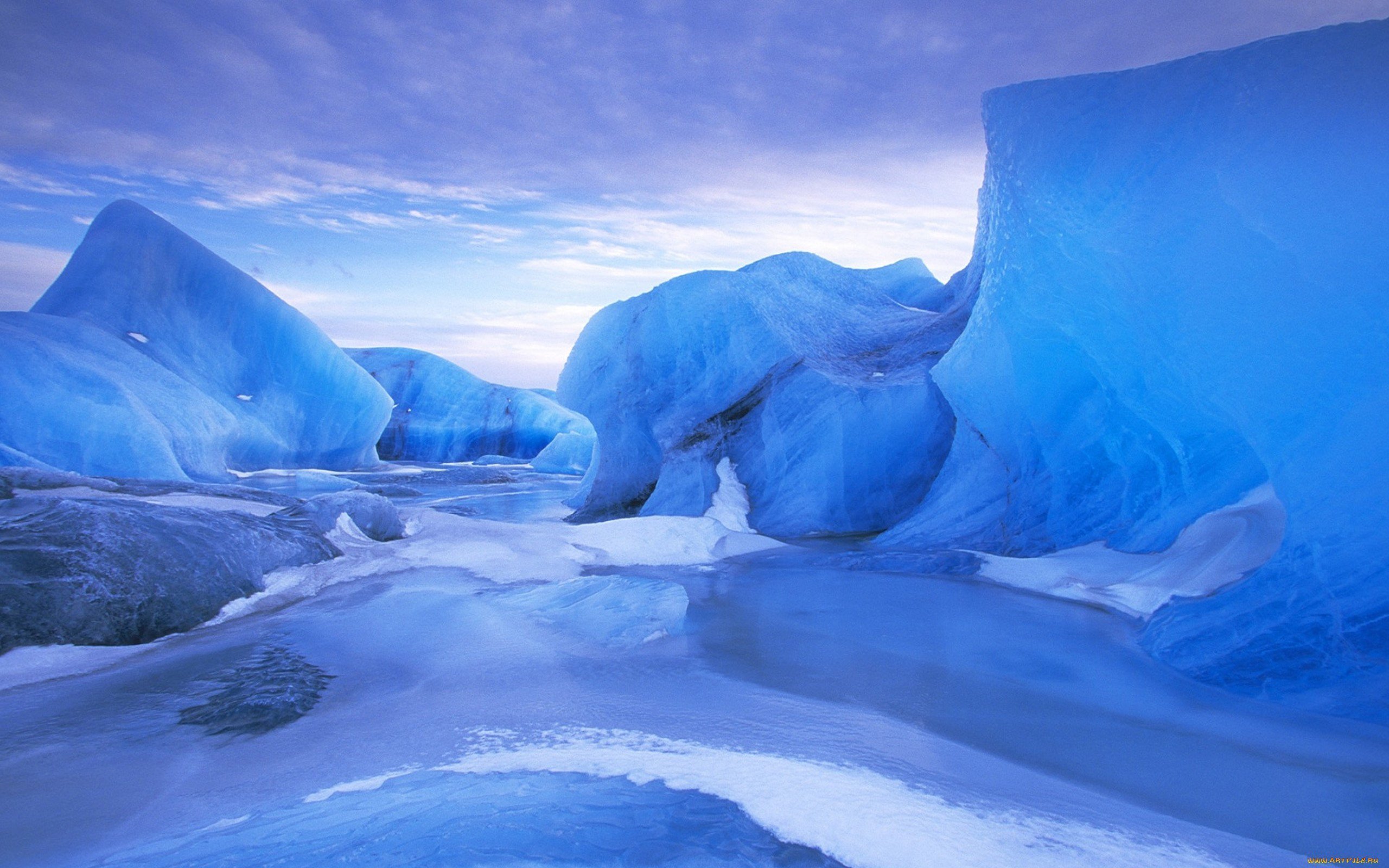 Arctic pole. Исландия Северный Ледовитый океан. Северный полюс Арктика и Антарктика. Ледники айсберги Антарктиды. Арктика Антарктика Антарктида.