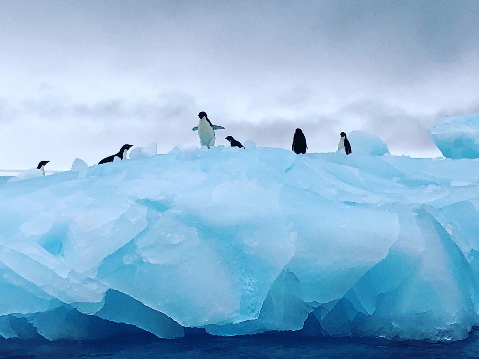 Антарктическое государство. Арктика Антарктика Антарктида. Антарктида материк пингвины. Покровные ледники Антарктиды. Биосфера Антарктиды.
