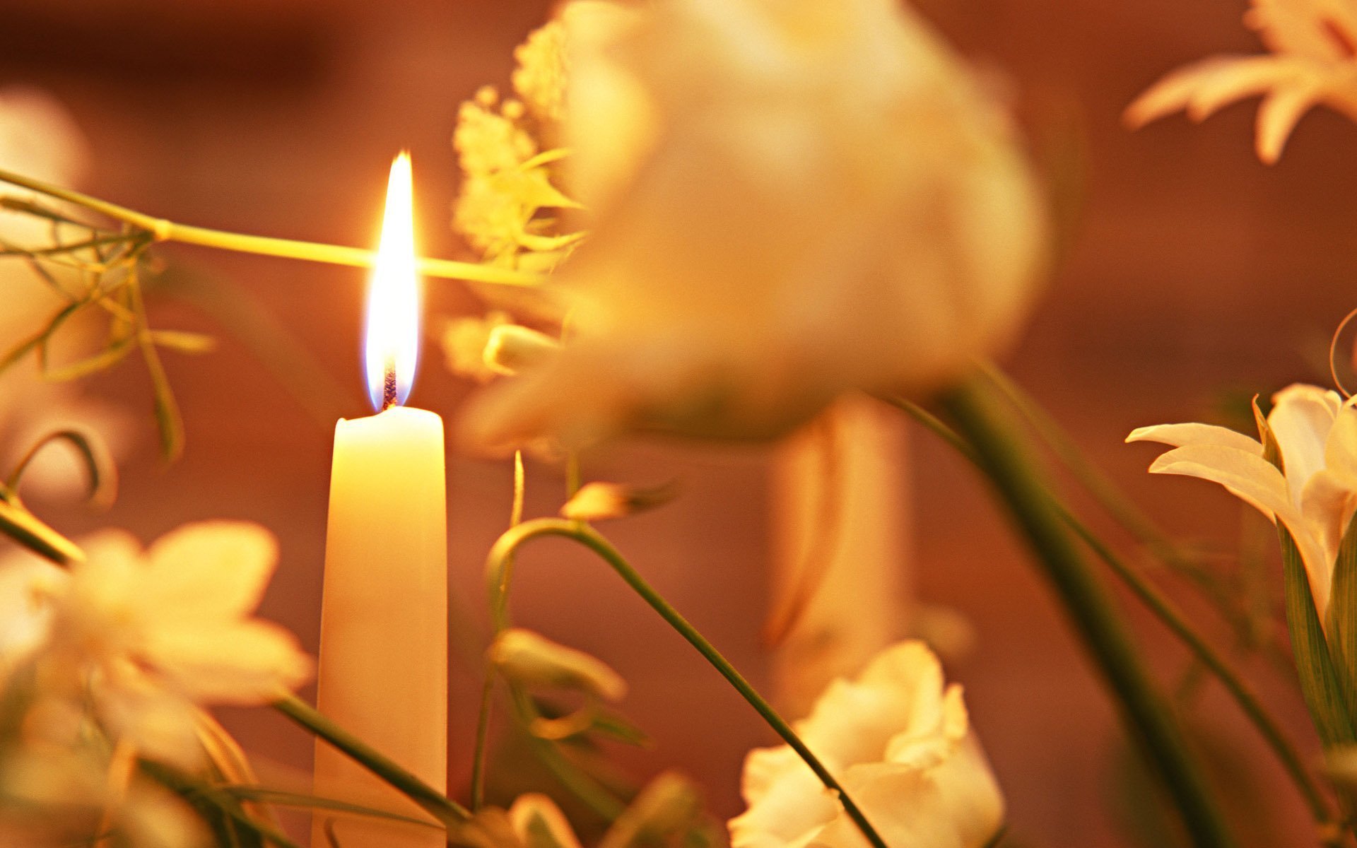 Скорбная музыка. Цветы и свечи. Горящие свечи в храме. Свечка цветок. Цветы траур.