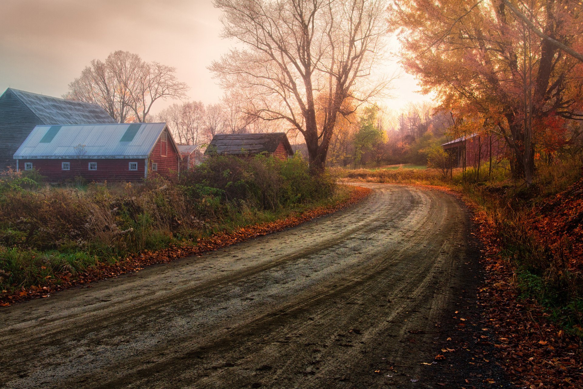 Осенняя дорога домой. Осень деревня Зенькино. Деревня природа Проселочная дорога. Сельская дорога. Деревенский пейзаж.
