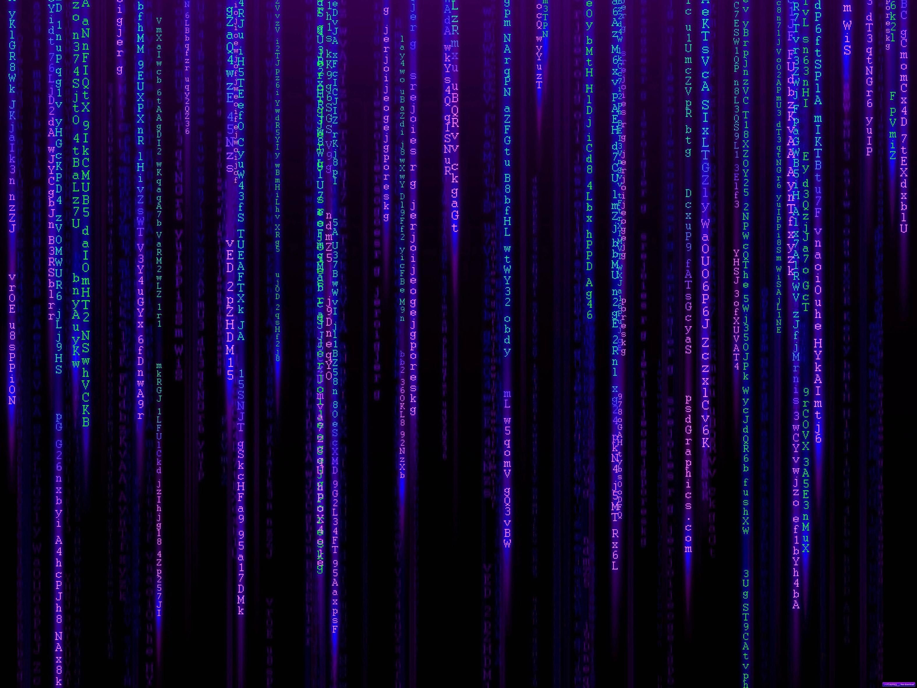 Черный фон код. Фиолетовая матрица. Матрица неон. Матрица фон. Матрица синяя.