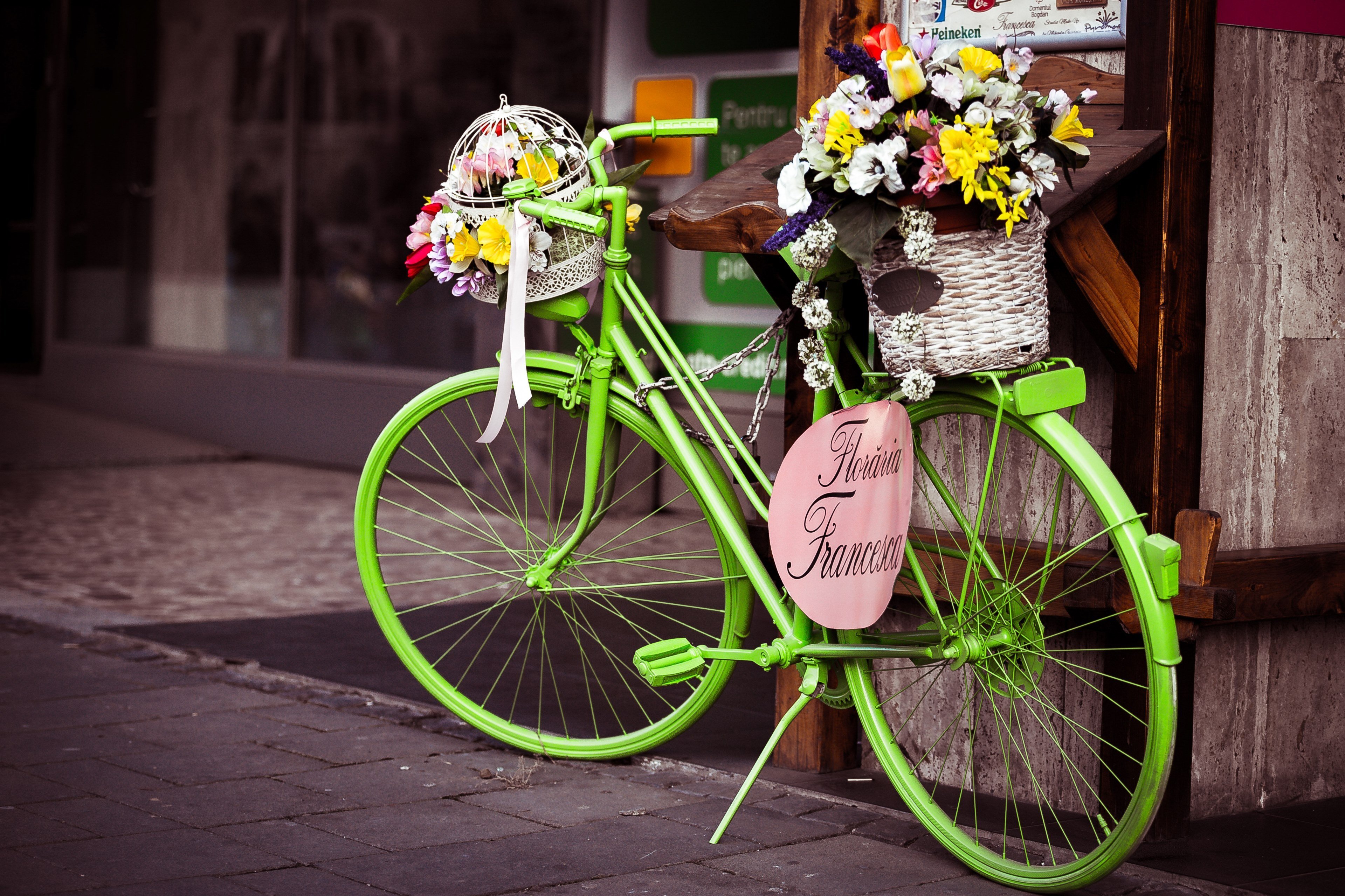Велосипед в цветах зеленый. Велосипед с цветами. Красивые велосипеды. Велосипед с корзинкой цветов. Велосипед с цветами декор.