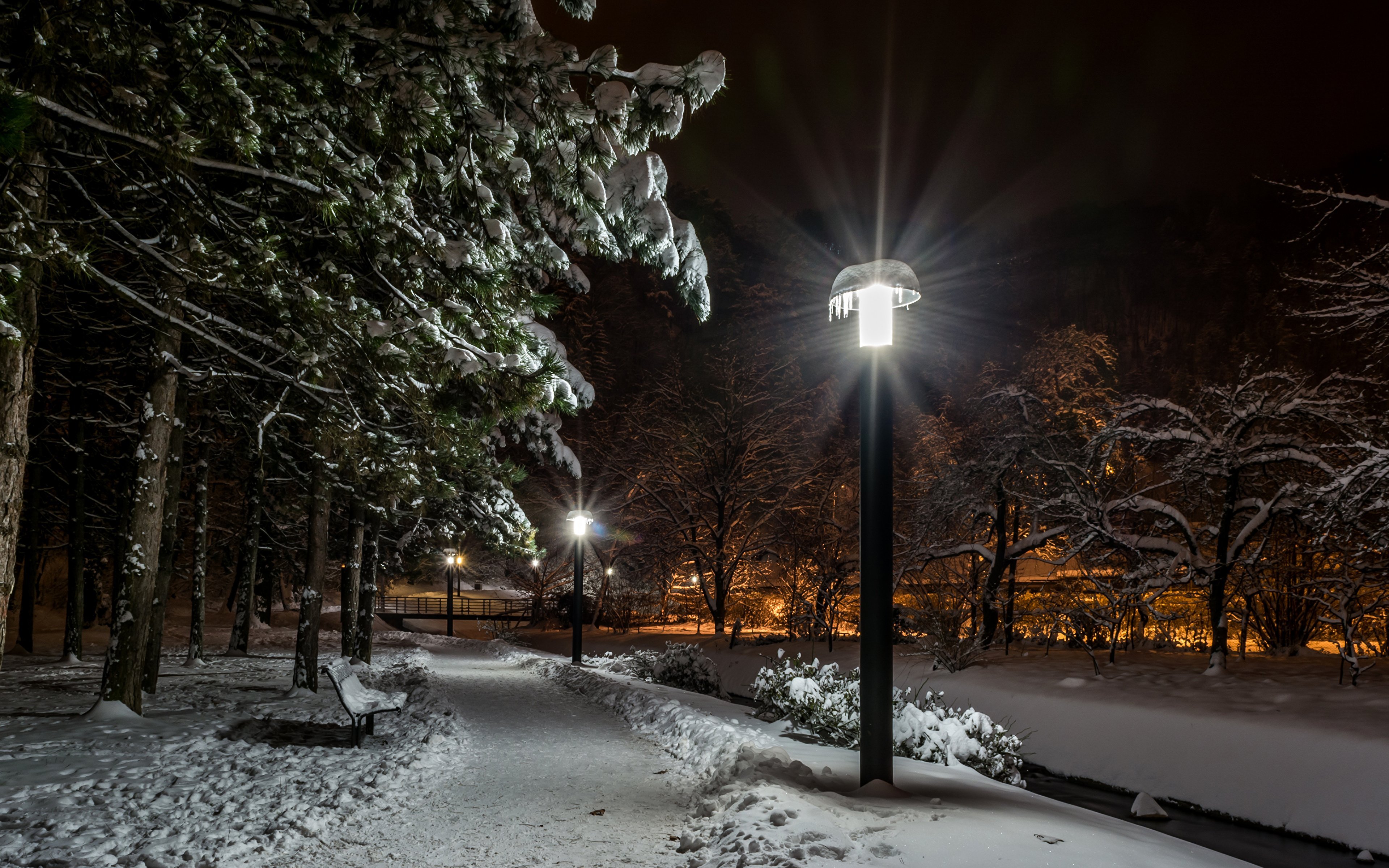 Город снег вечер. Зимний город. Зимний парк. Зимняя ночь в городе. Зимний парк ночью.