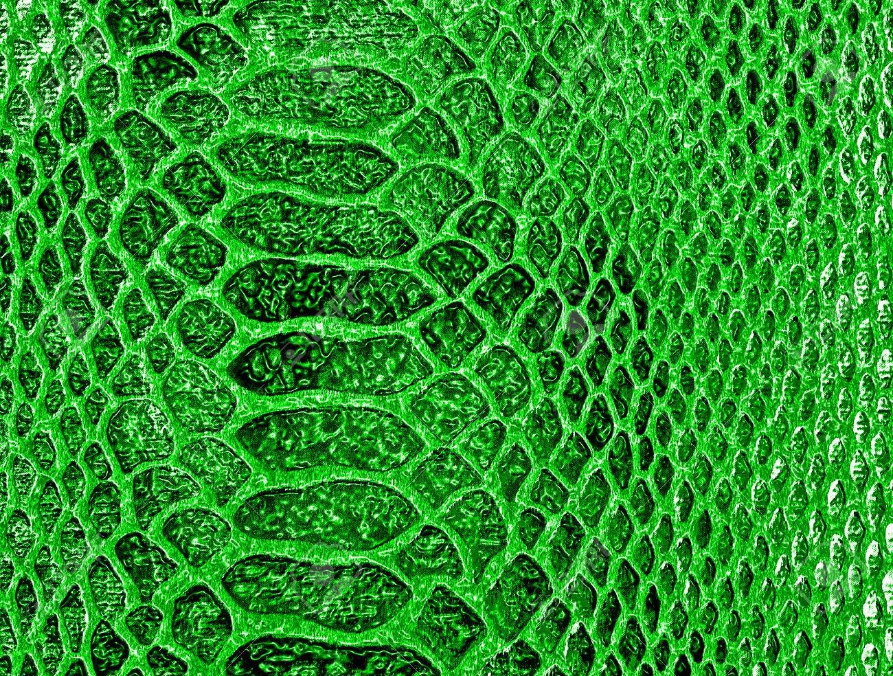 Зеленая кожа змеи