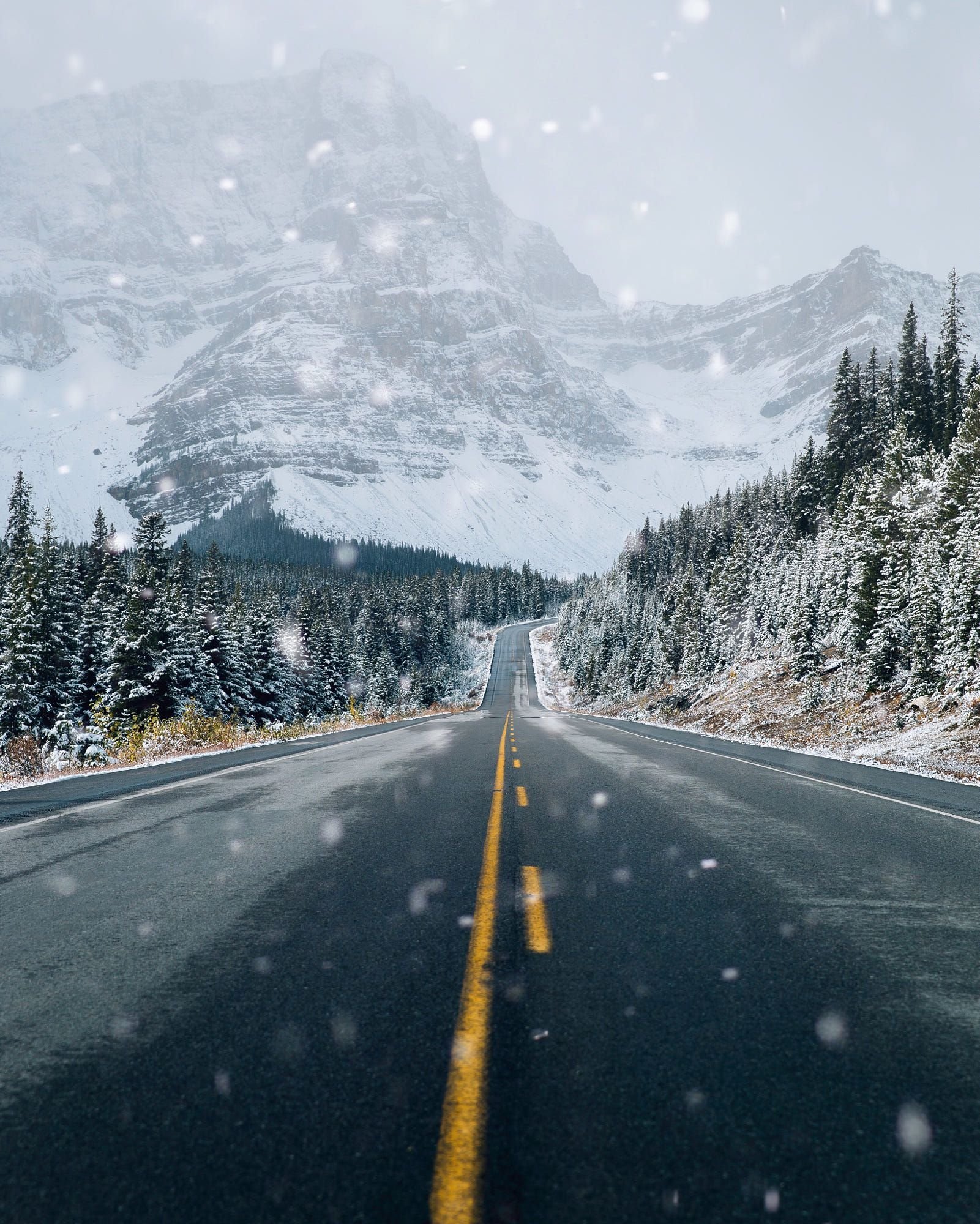 Снежок на дорогу падает. Дорога зимой. Снежная дорога. Дорога в горах зимой. Заснеженная дорога.