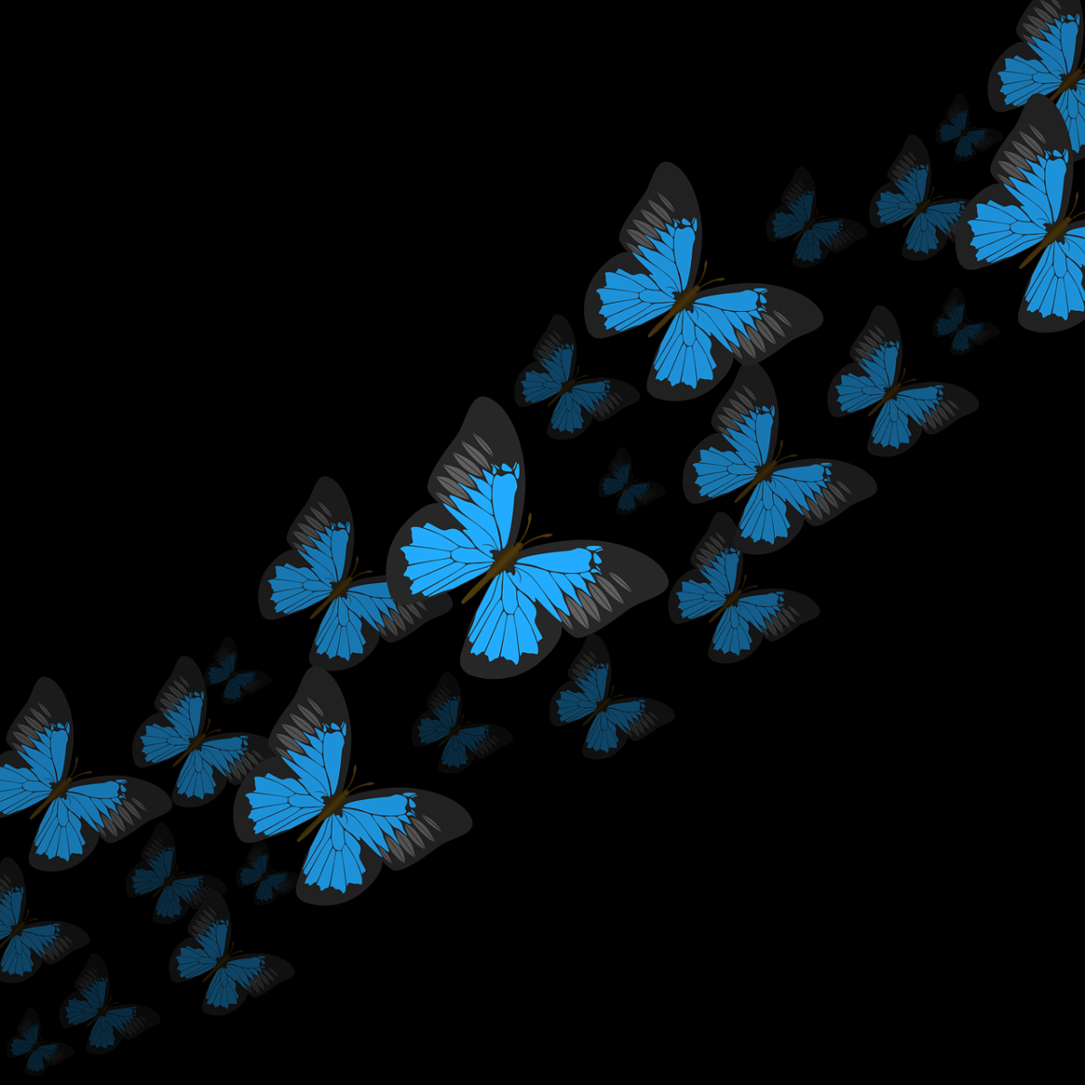 Голубые бабочки фон. Синяя бабочка. Бабочки на черном фоне. Неоновые бабочки. Синяя бабочка на черном фоне.