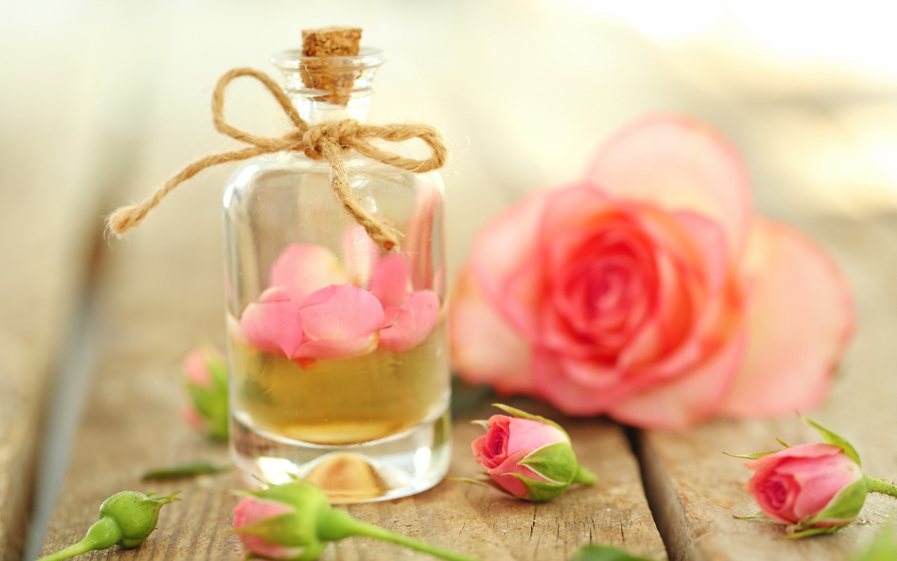 Запах розового масла. Нежный аромат цветов. Розы маслом. Духи и цветы.
