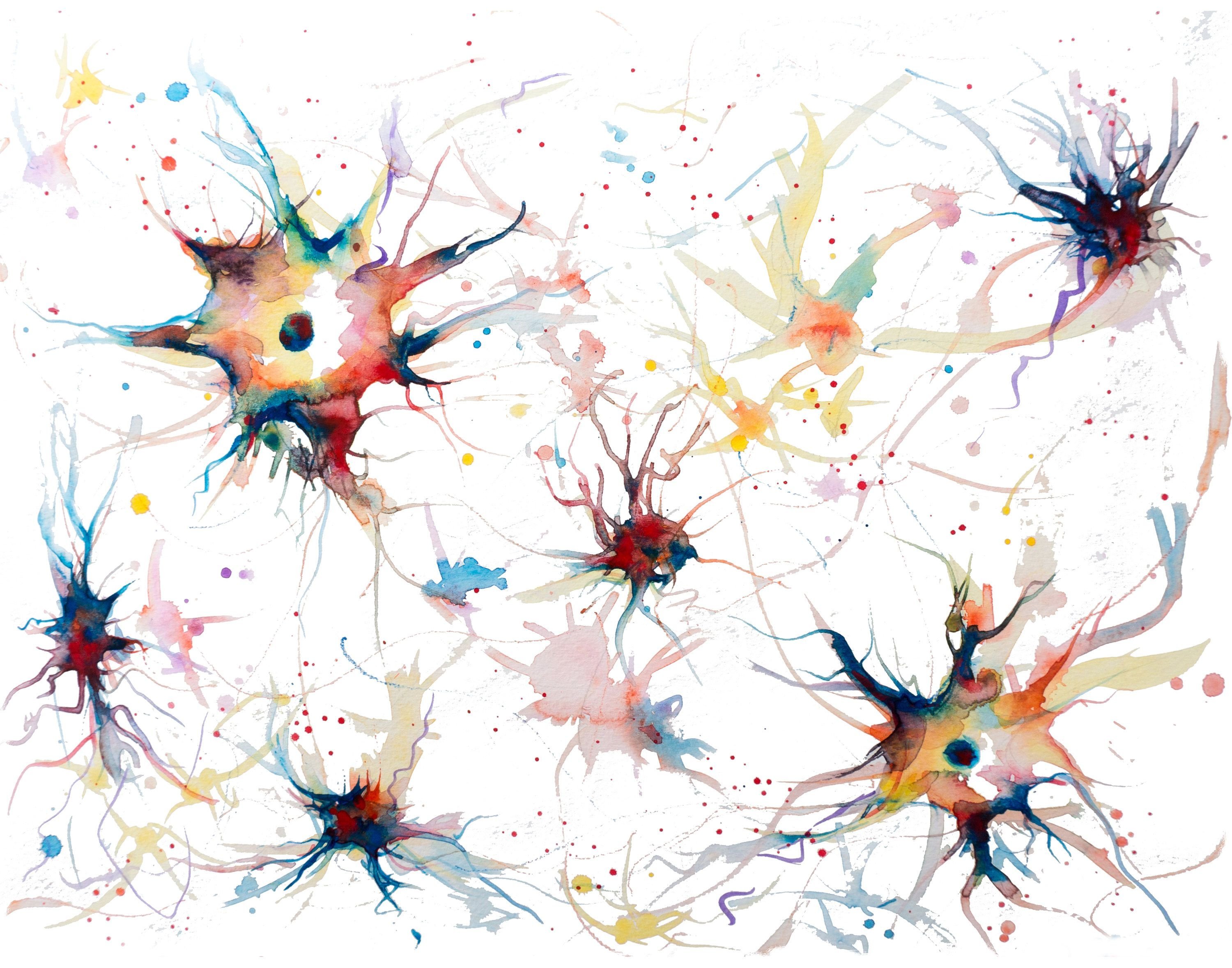 Капилот нейросеть. Нейроны живопись. Нейронное рисование. Нейроны на белом фоне. Абстракция мозг Нейроны.