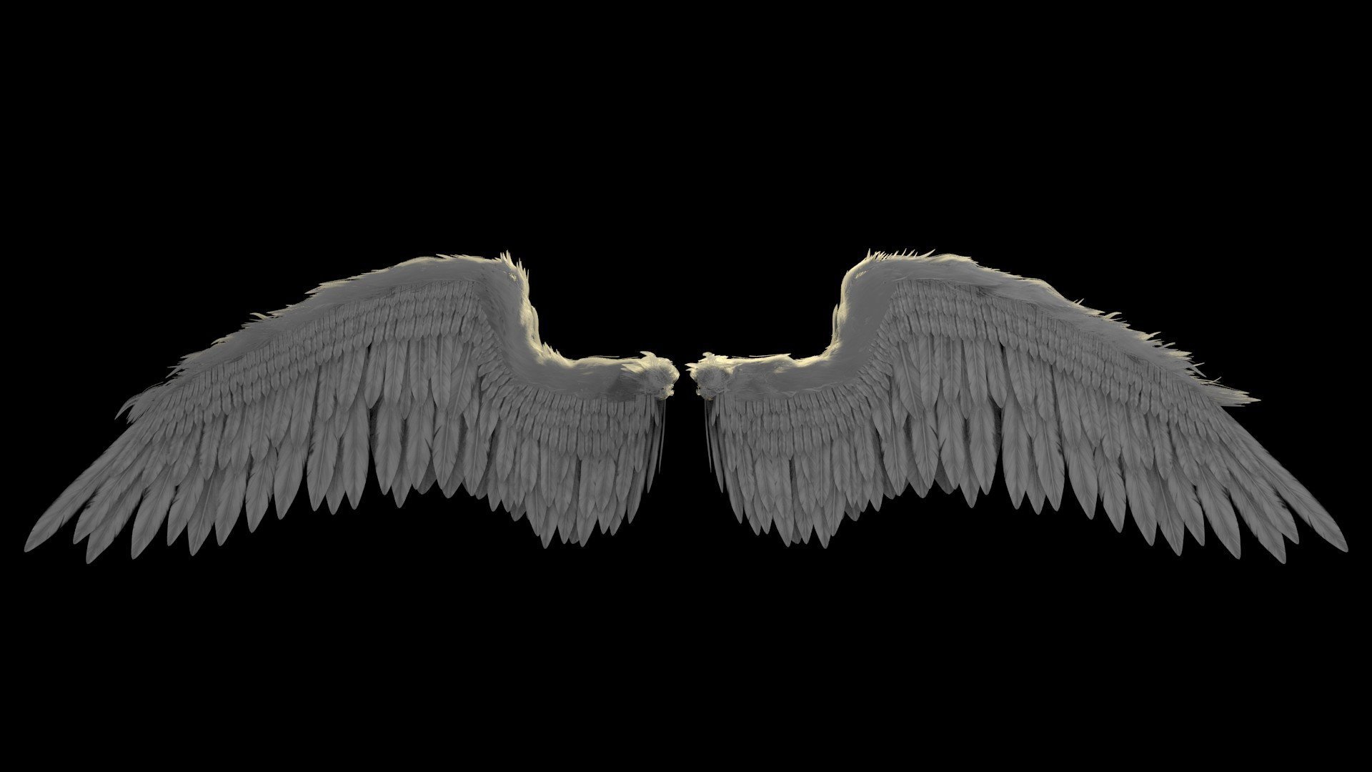 Крылья на черном фоне. Ангельские Крылья. Черные Крылья. Красивые Крылья. Ангел с крыльями.