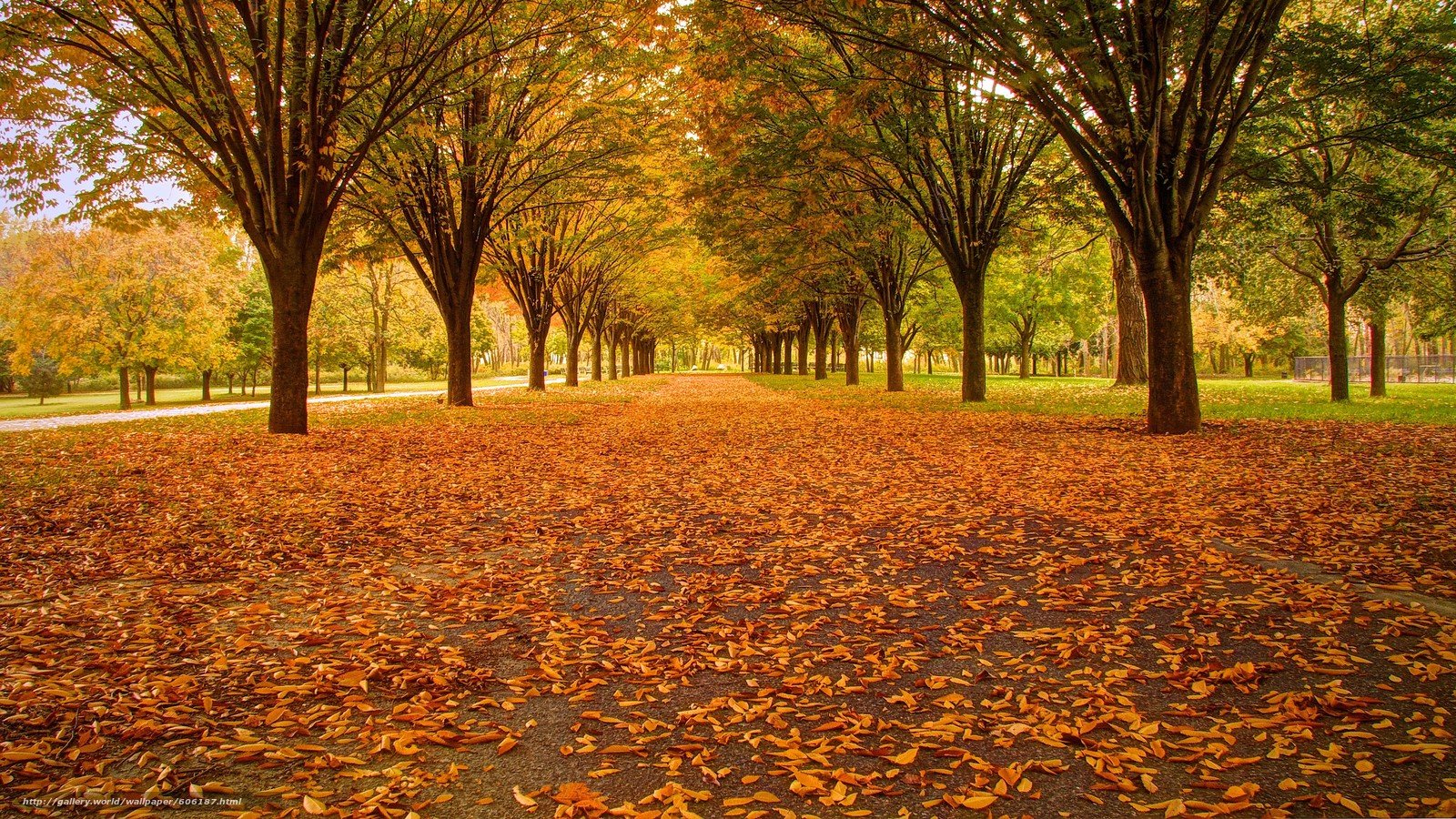 Парк ласковый. Осень парк. Широкоформатные обои осень. Осенний парк без листьев. Осень в парке Италия.
