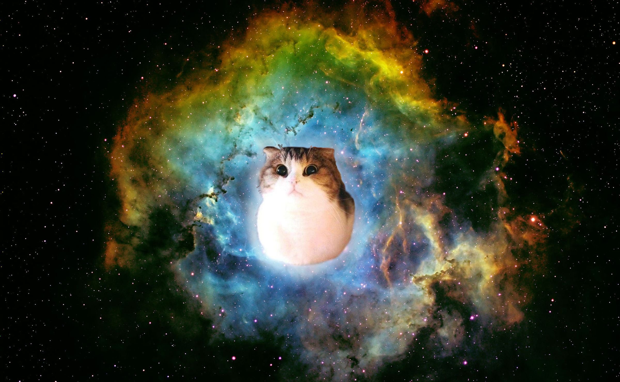 Обои котики мемы. Кот в космосе. Космическая кошка. Кот Вселенная. Котенок в космосе.