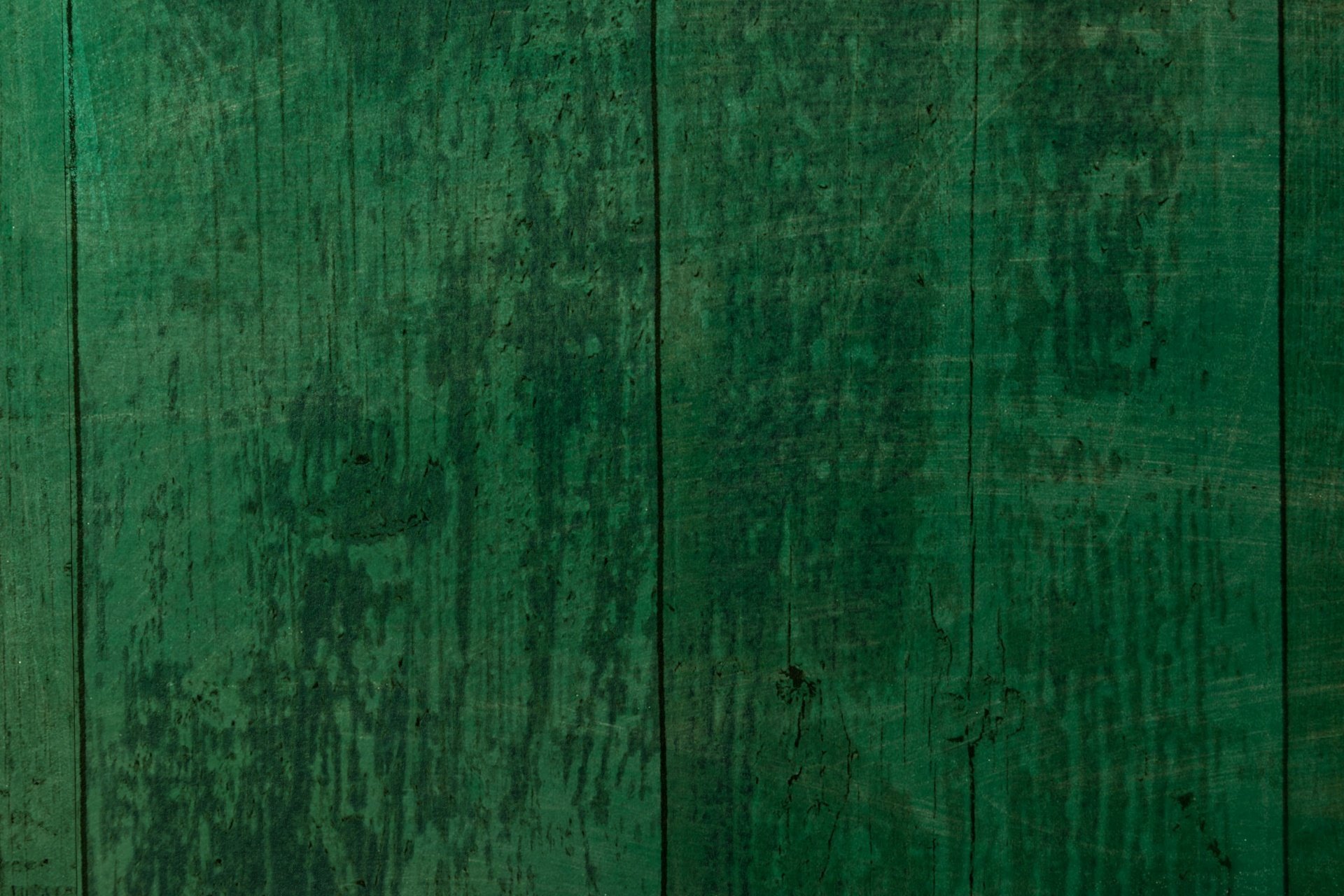 Зеленая древесина текстура