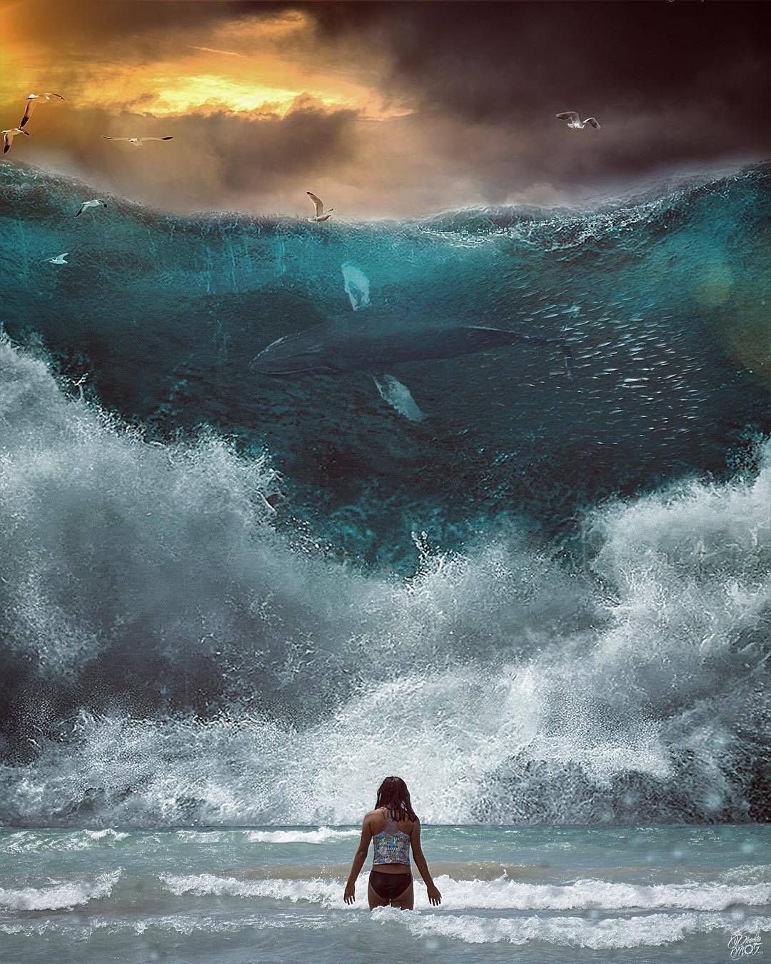 Видеть волны с берега. Море океан волны шторм ЦУНАМИ. Бушующее море. Огромные волны. Бушующий океан.