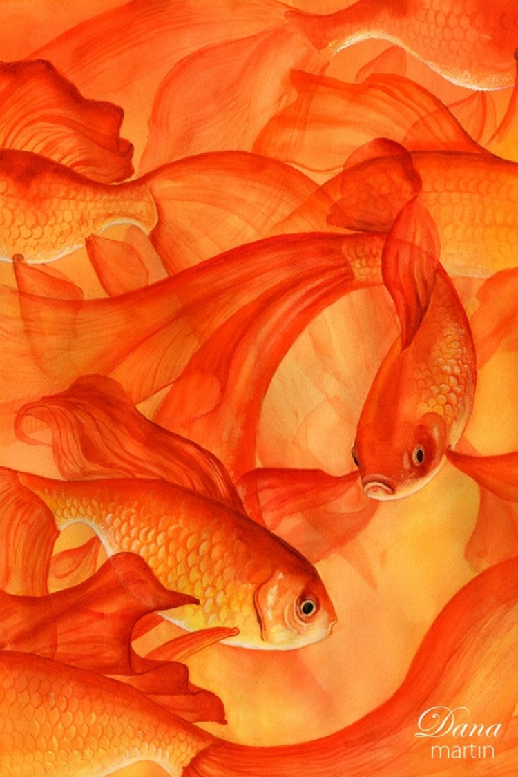 Рыбки оранжевого цвета