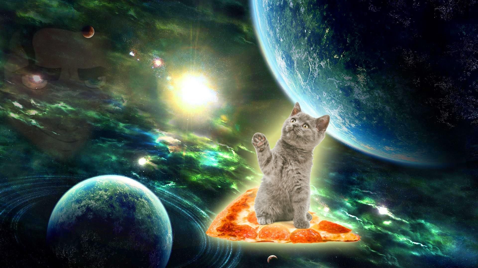 Котик в космосе арт