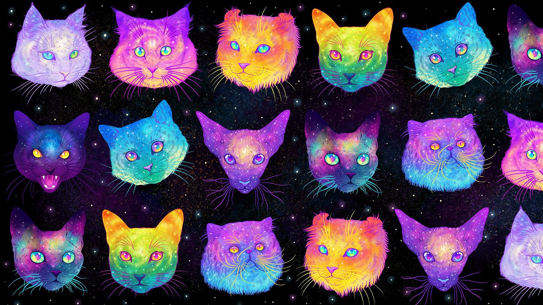 Ленка кот. Космическая кошка. Котенок в космосе. Разноцветная кошка. Радужные кошки.