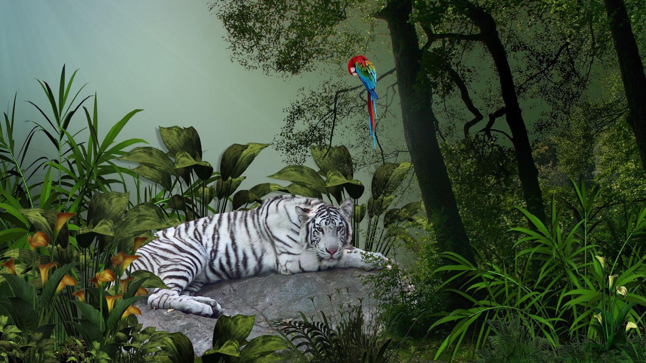 Jungle download. Обои джунгли. Животные джунглей. Тигр в джунглях. Фотообои с животными.