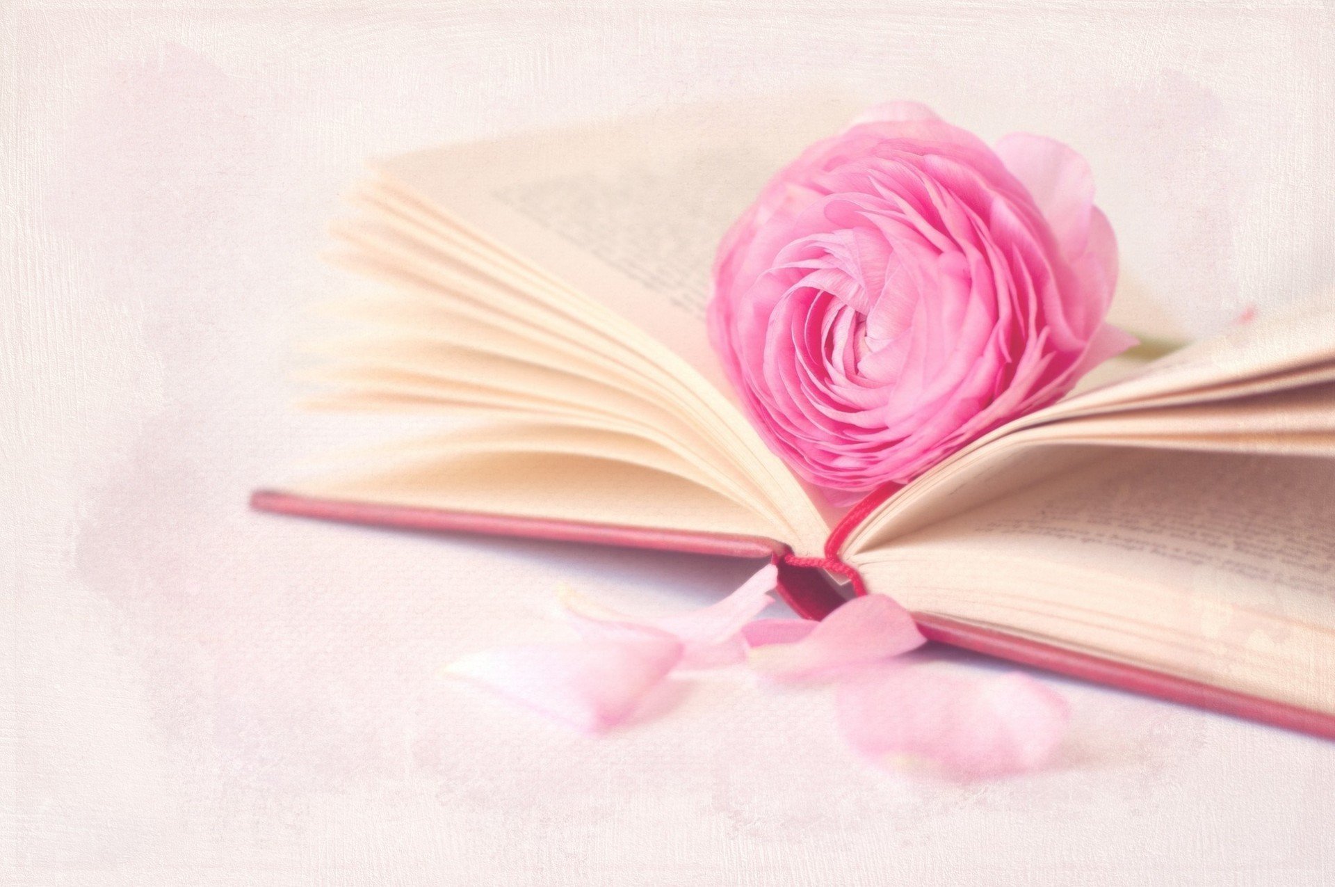 День поэзии фон. Книги на фоне цветов. Красивый фон с книгами. Книга с цветами. Книга цветы.